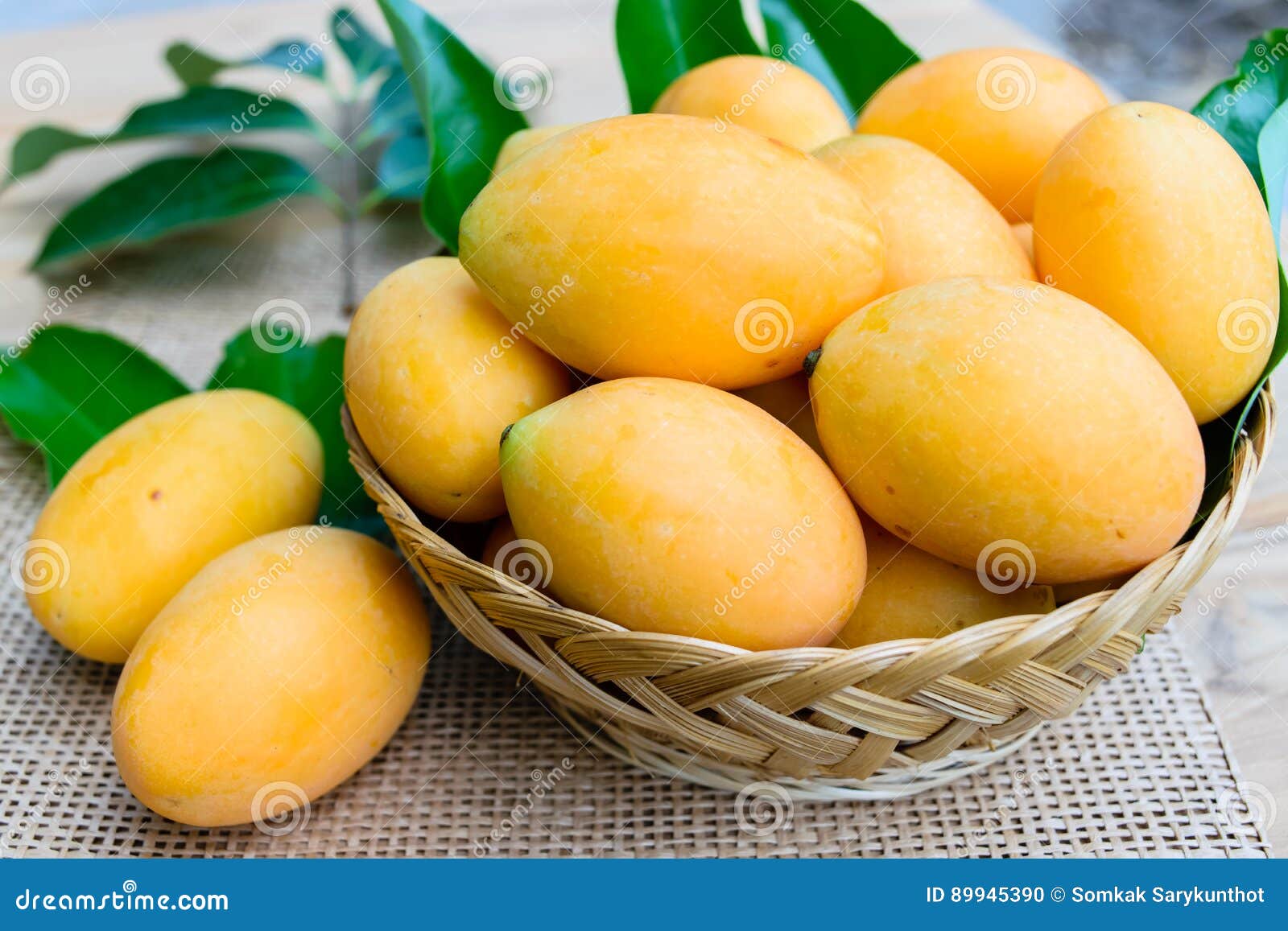 Plum Mango, or Marian Plum Fruit Stock Photo Image of organic, green