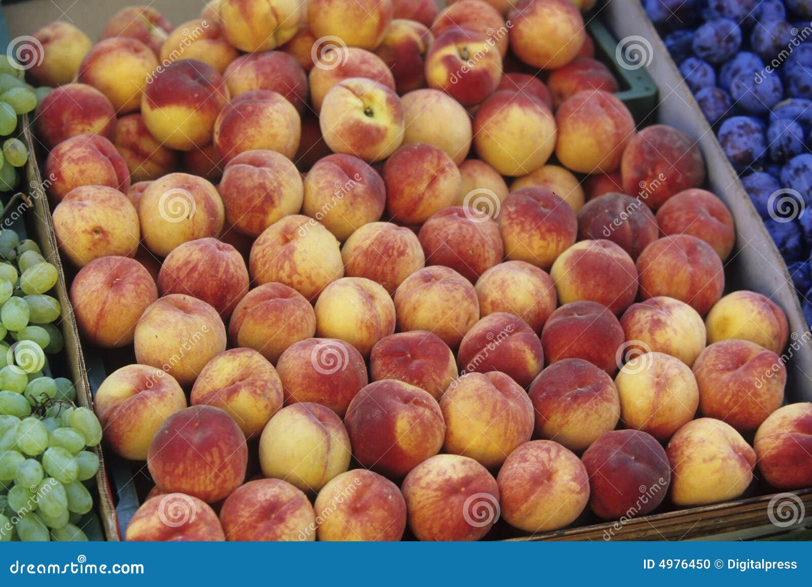 Plum and peaches stock photo. Image of peaches, food, vitamins 4976450