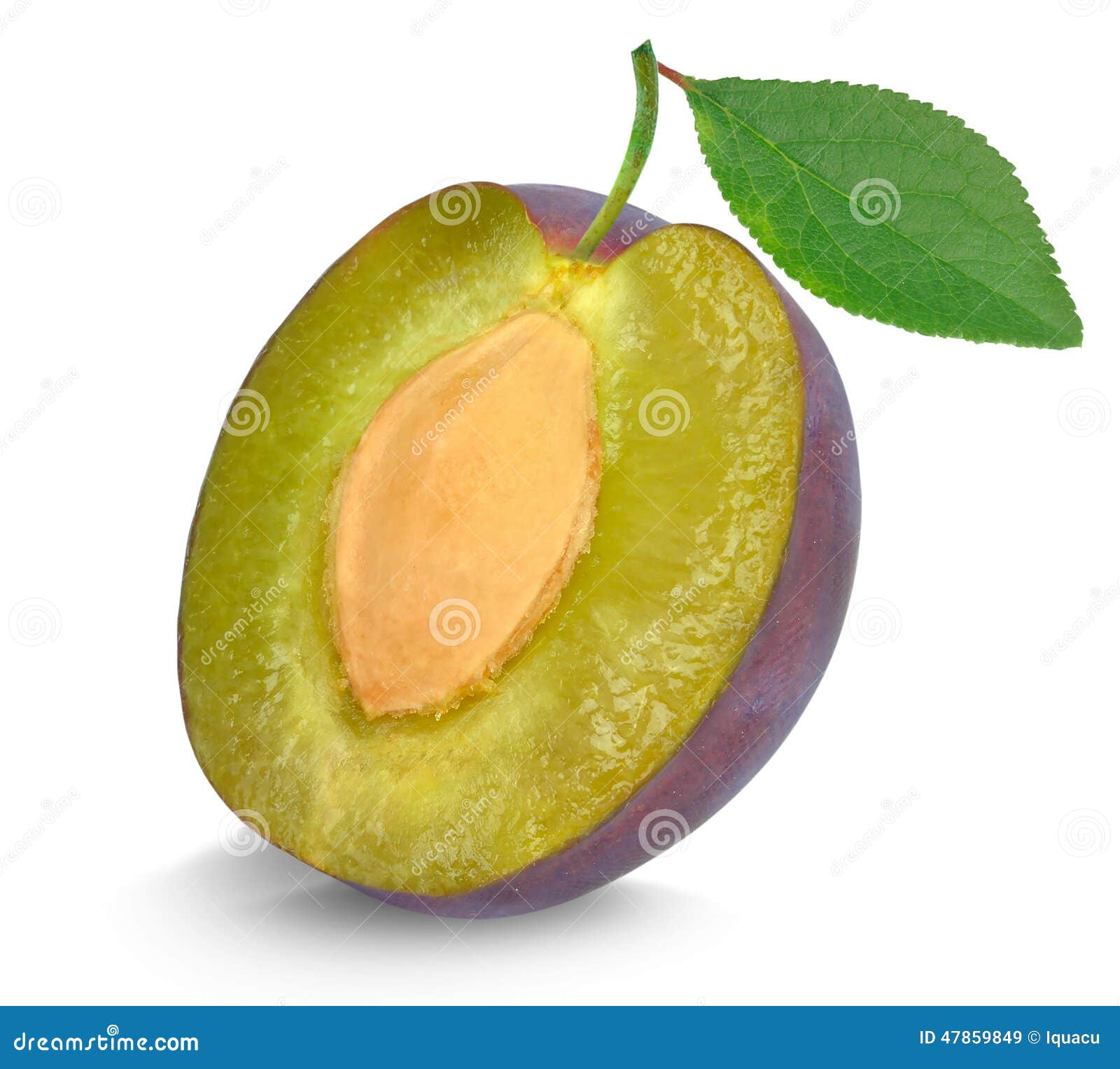 Plum stock image. Image of food, leaf, dessert, ripe 47859849