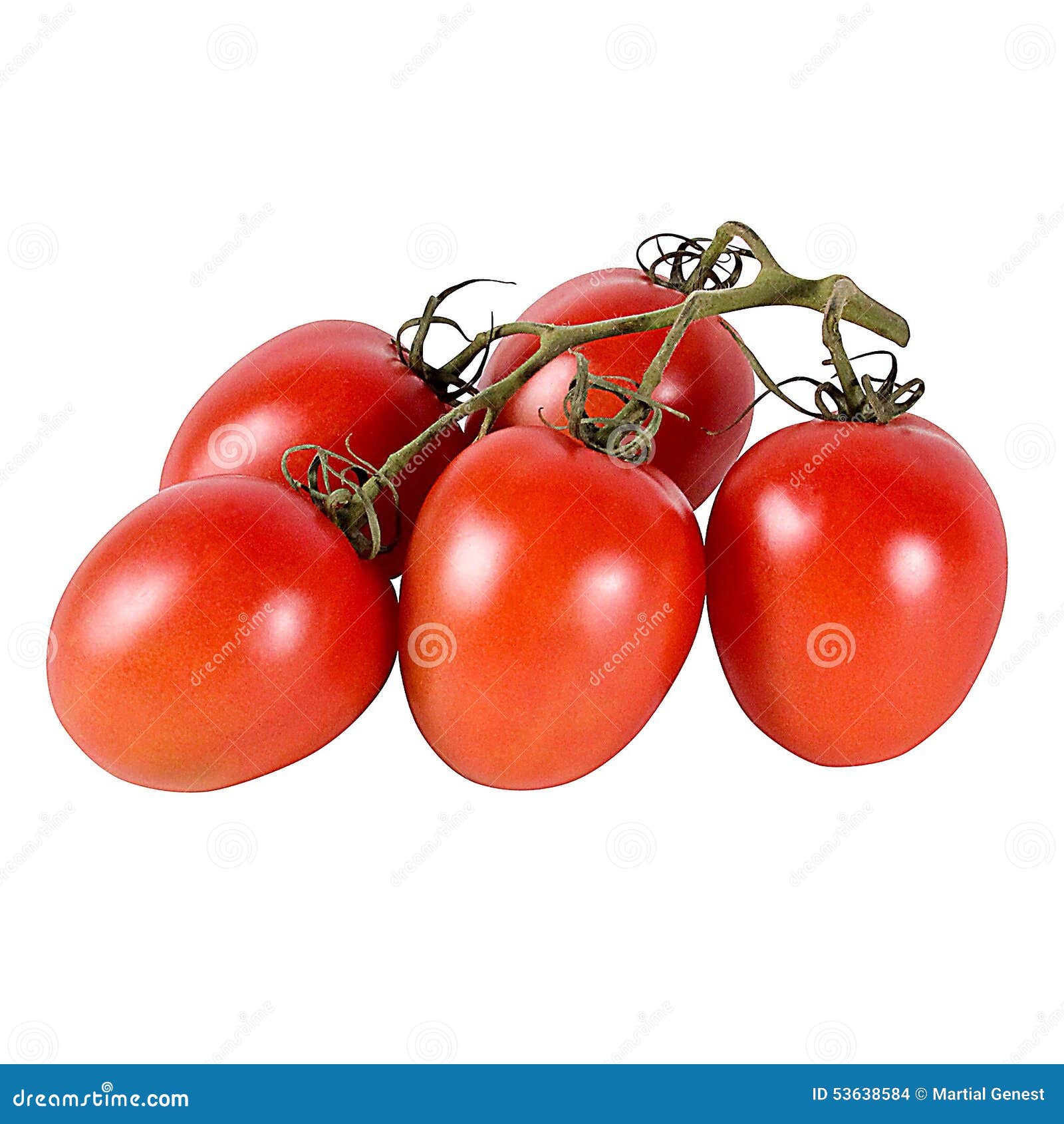 Plum tomatoes stock photo. Image of plum, tomatoes, bunch 53638584