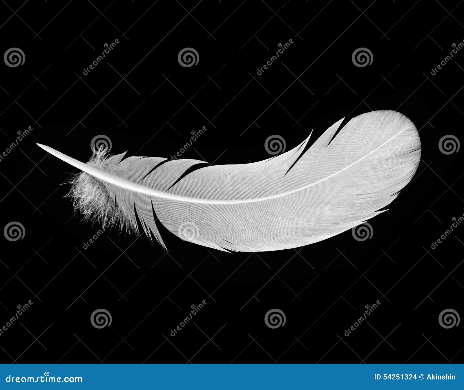 My Image 37