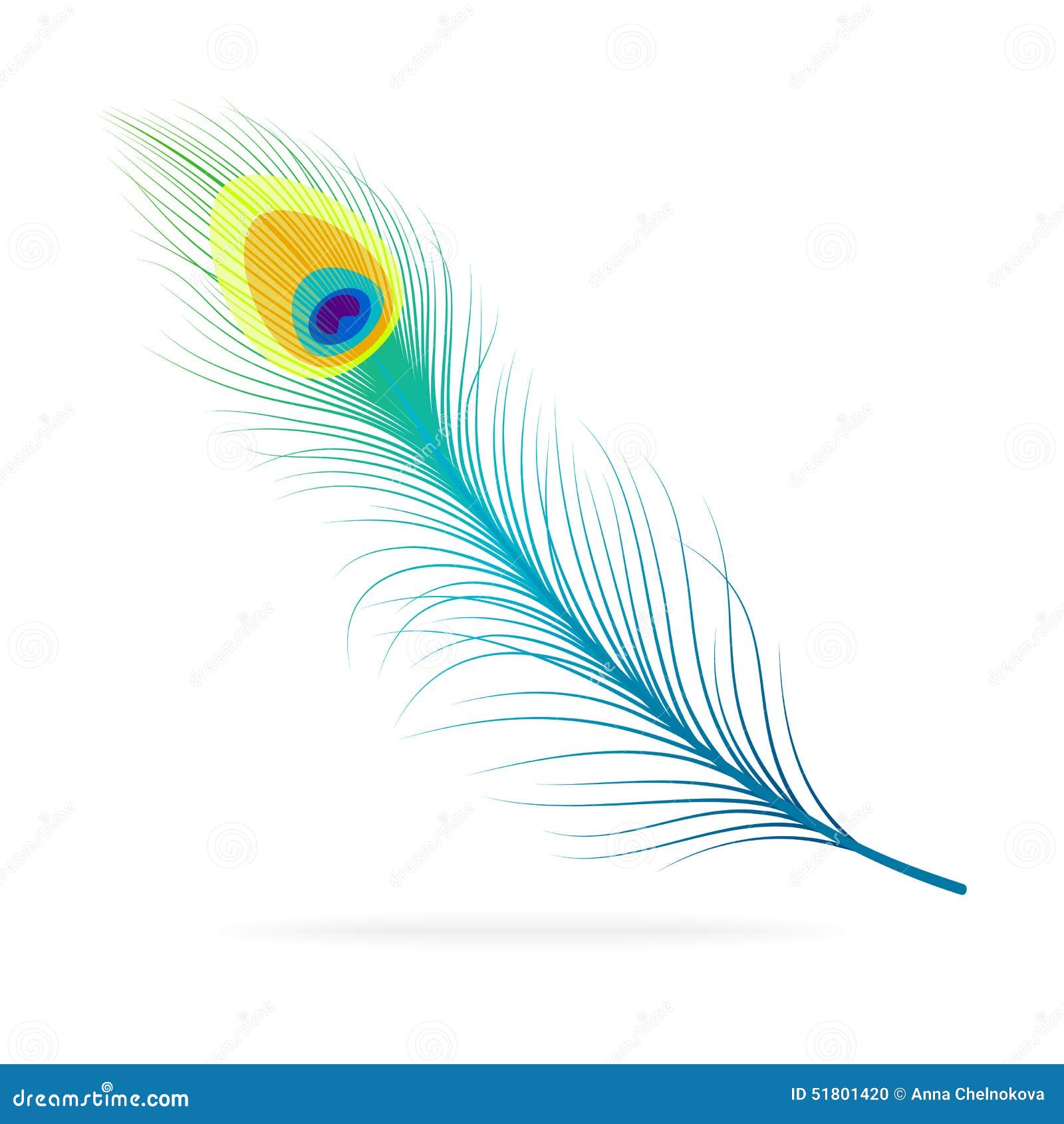 Pluma Del Pavo Real Del Vector Ilustración del Vector - Ilustración de multicolor, tropical: 51801420 Pluma Del Pavo Real Del Vector Ilustración del Vector - Ilustración de multicolor, tropical: 51801420