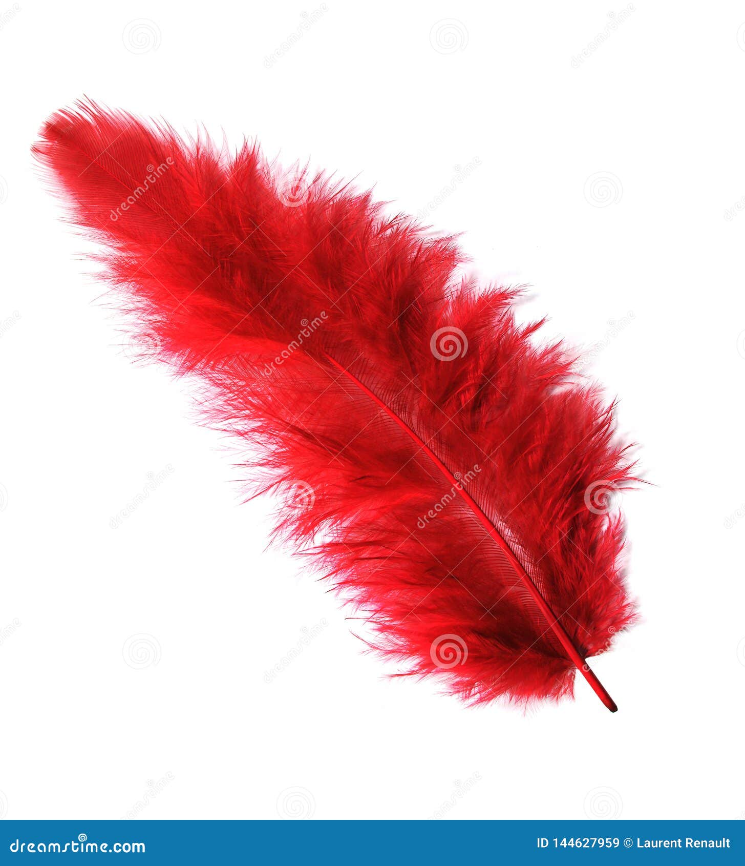 Resultado de imagen de plumas rojas