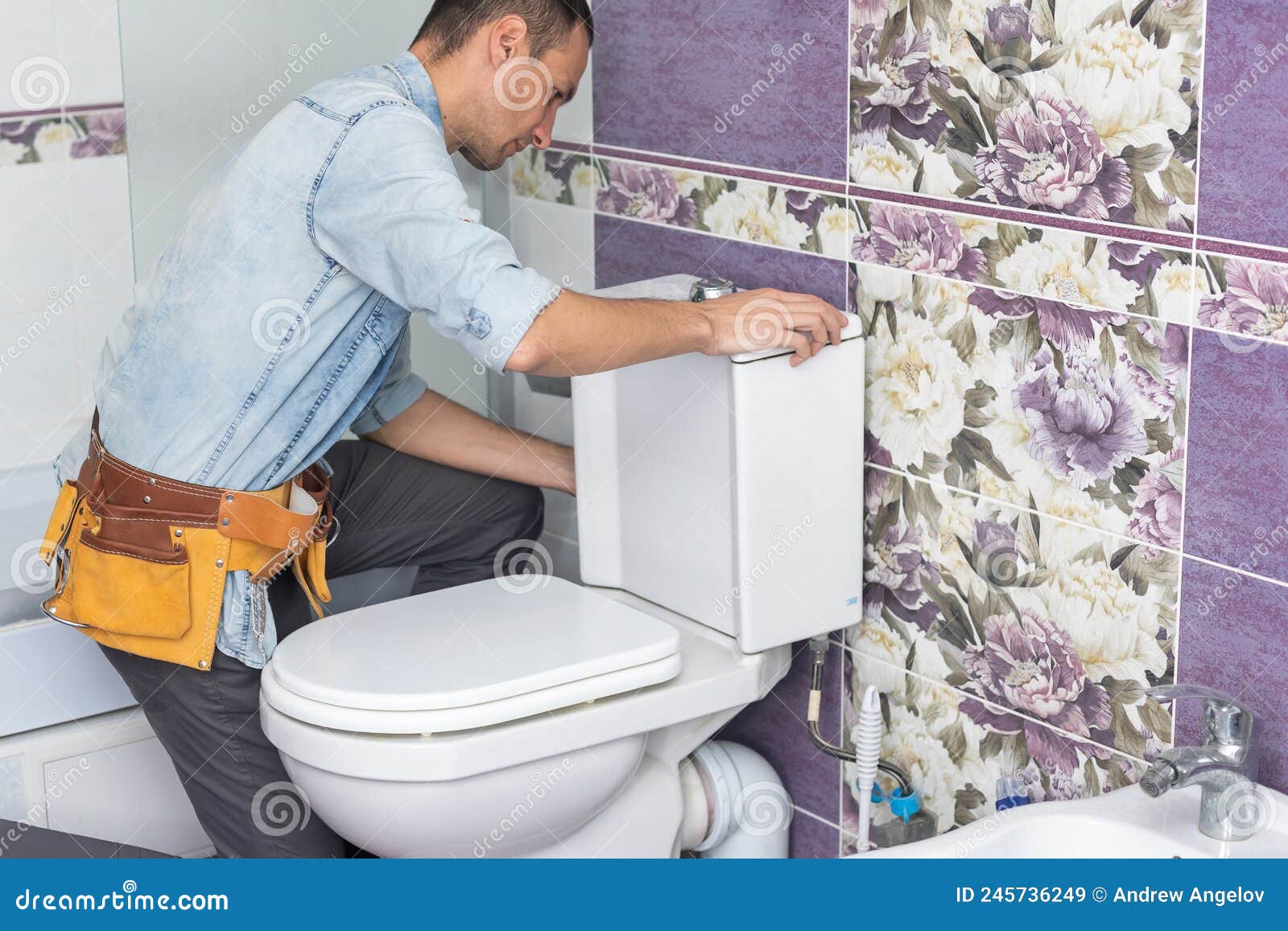 Plumber Fixing Toilet Seat Lid Stock Image Image of install, repairman 245736249