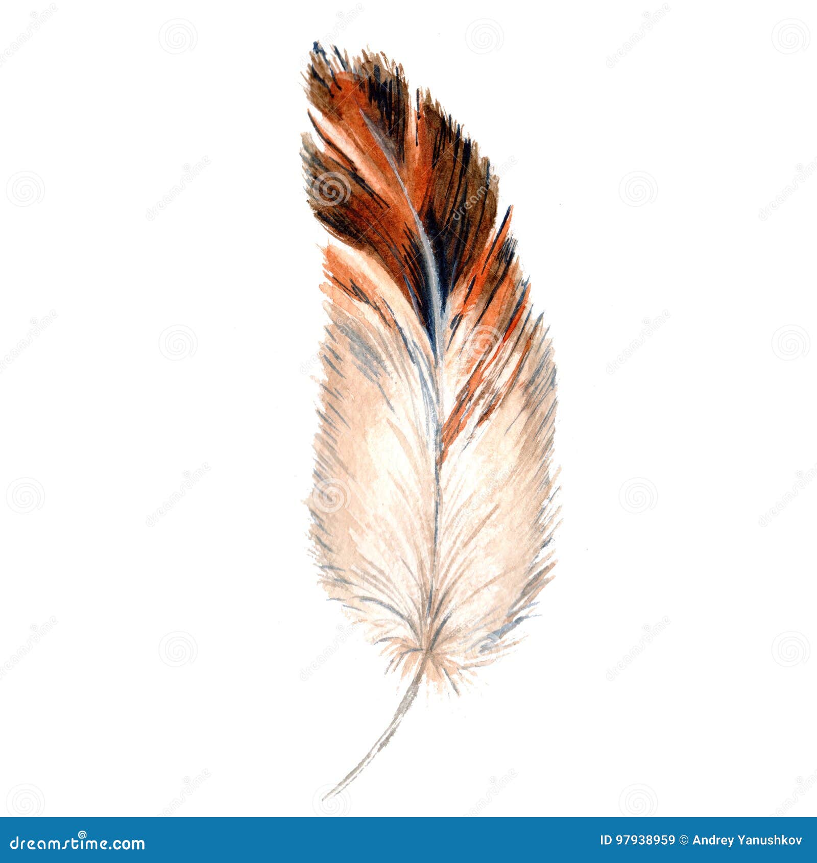 Tatouage Adoptez Le Motif Plume