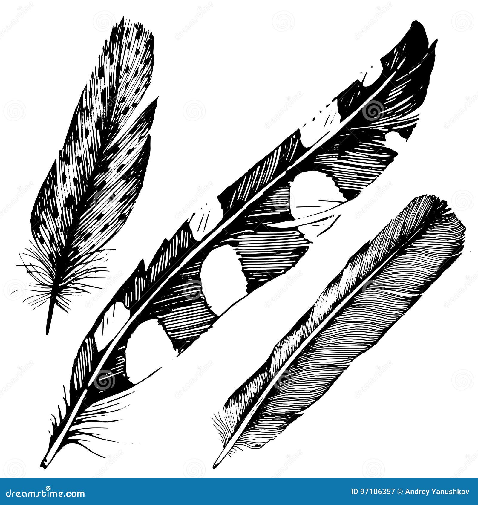 Plume Doiseau De Vecteur De Laile Disolement Illustration