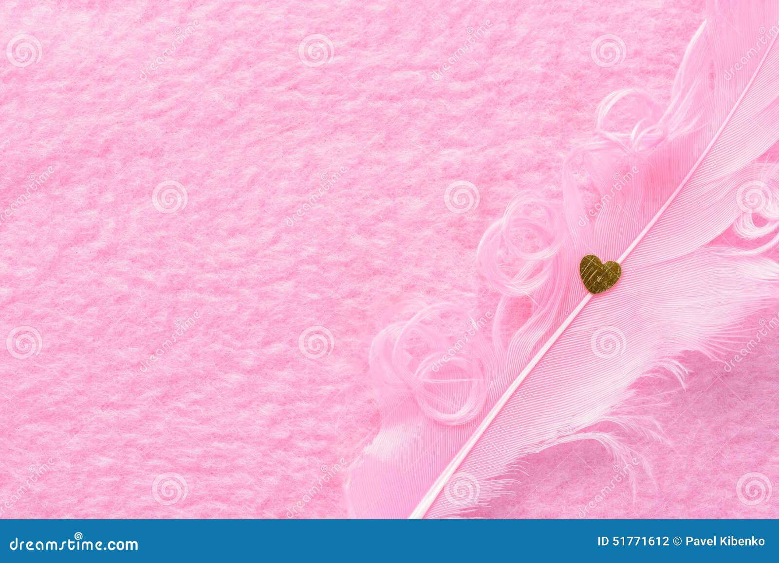 Plume Rose Photo stock Image 51771612