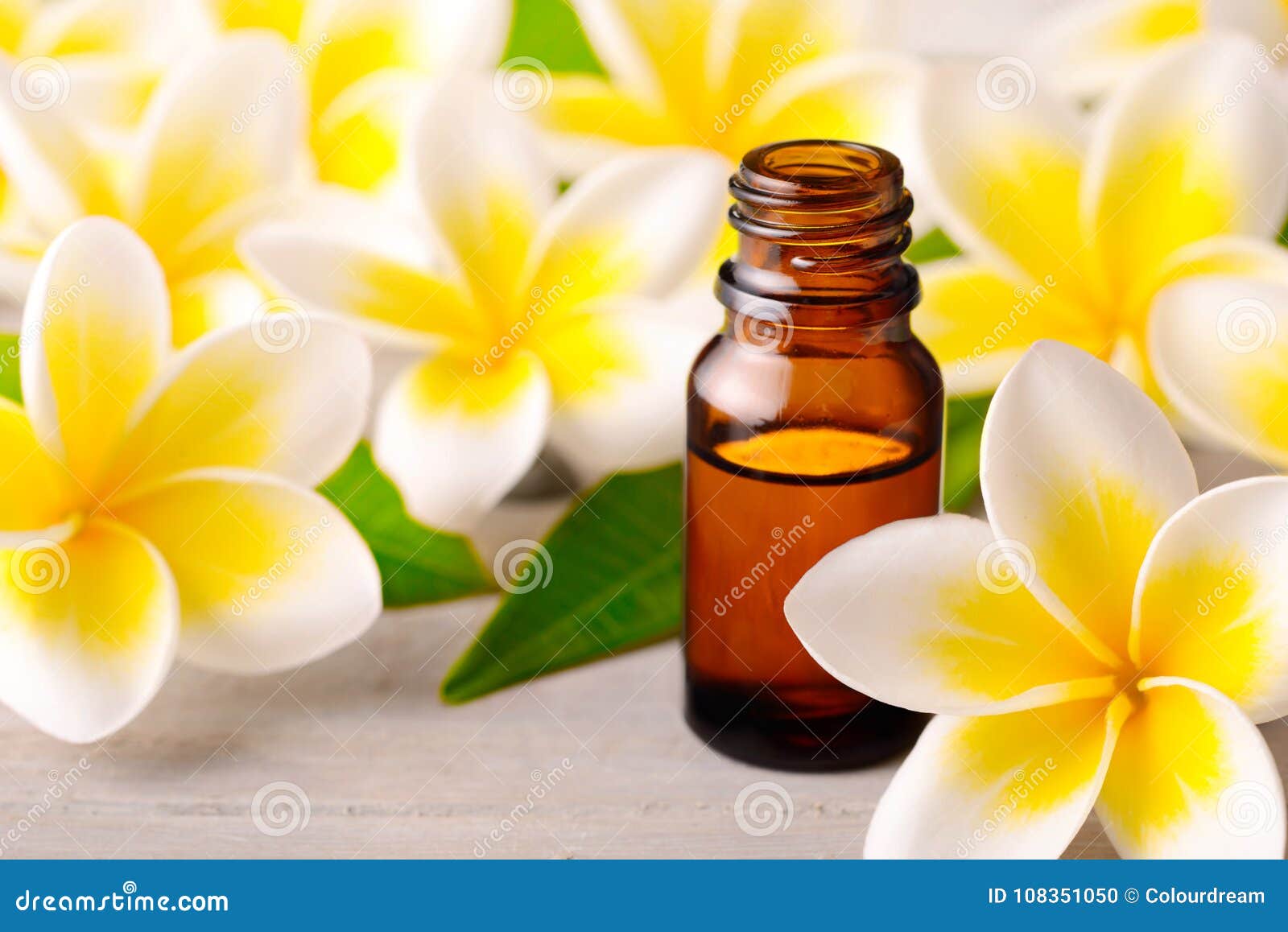 Plumeria Essential Oil Perfume and Yellow Plumeria Flowers on the Wooden  Table Stock Photo - Image of herb, plank: 108351050