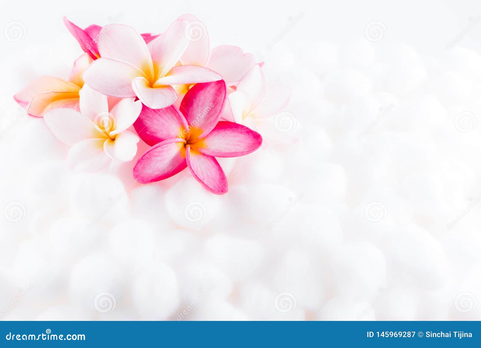 Plumeria Flower Colorful Wallpaper Texture Stock Image - Image of flat,  design: 145969287