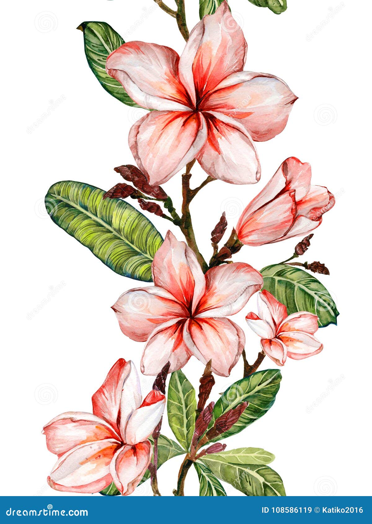 plumeria flower on a twig. border . seamless floral pattern.  on white background. watercolor painting.