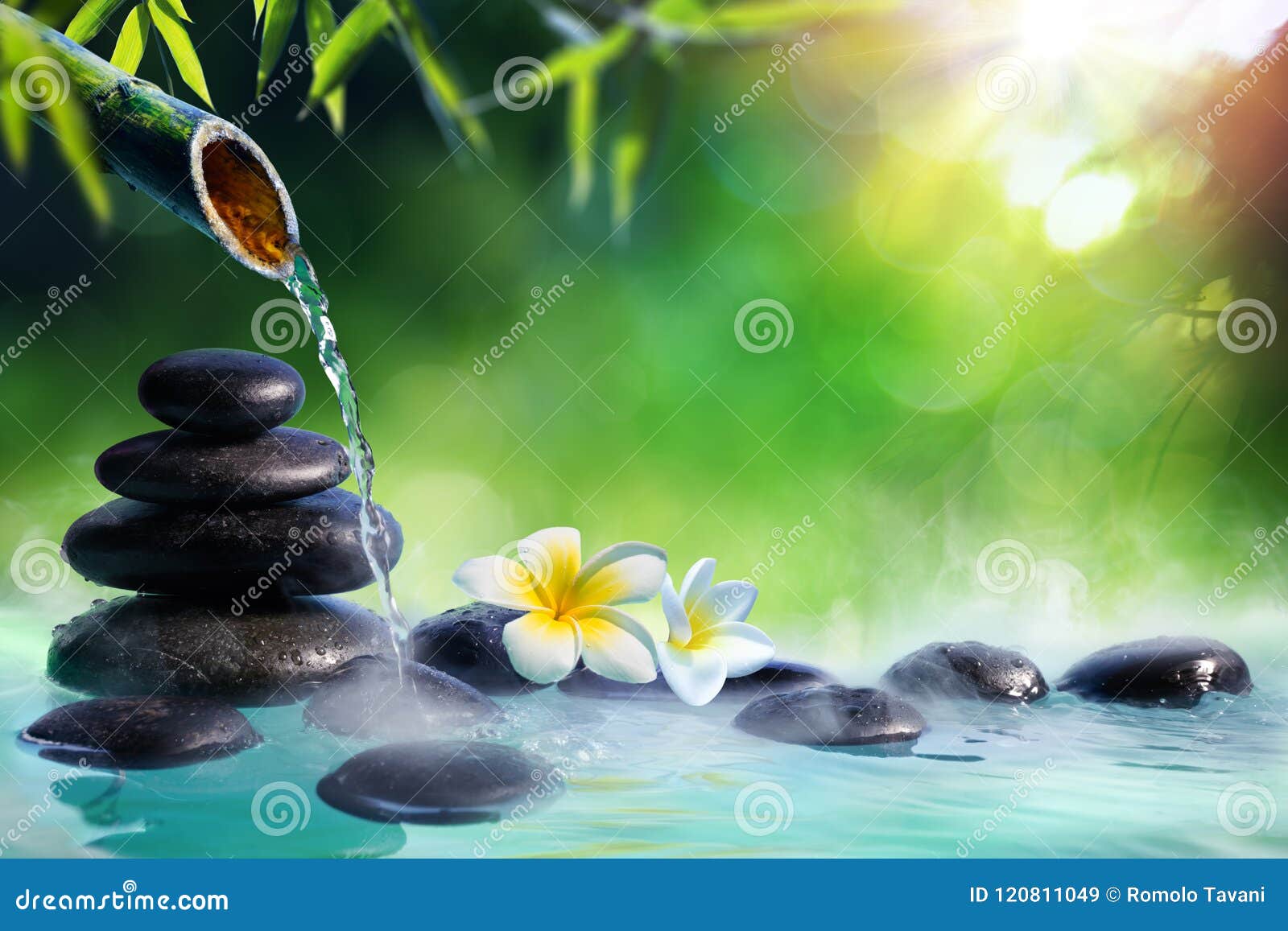 5,300+ Zen Water Bamboo Stock Photos, Pictures & Royalty-Free