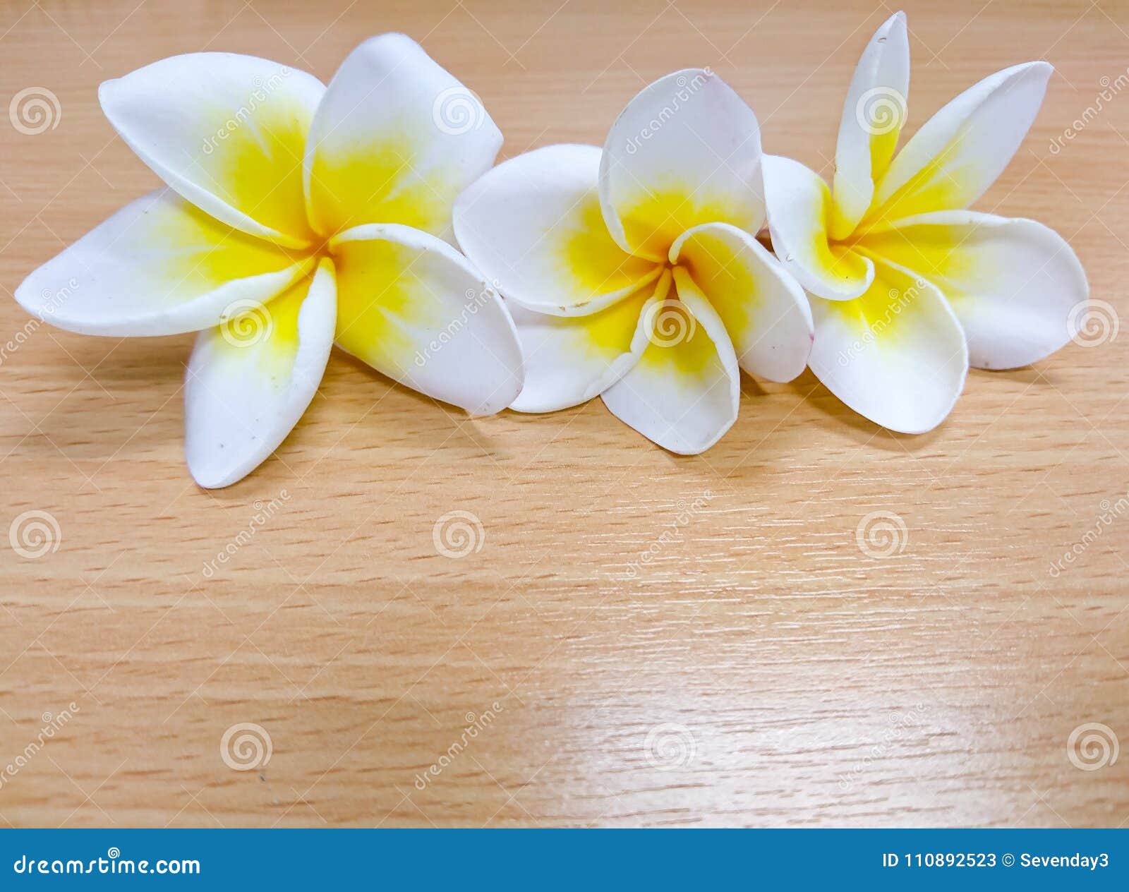 Plumeria, La Fleur Blanche Et Jaune Se Trouvant Sur La Table En Bois Image  stock - Image du fleur, brun: 110892523