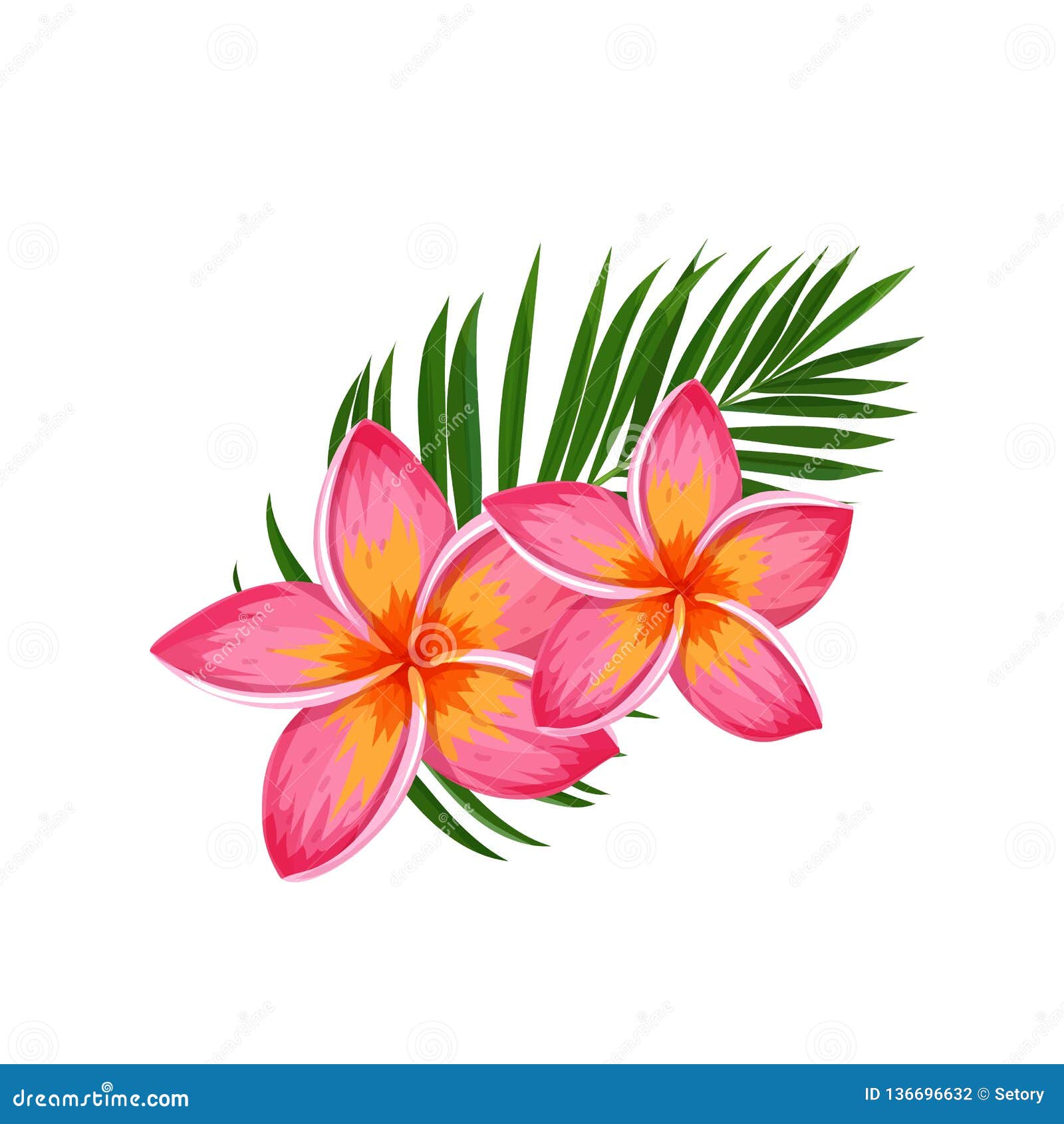 Plumeria, Summer Tropical Flower Stock Vector - Illustration of flower,  flora: 136696632