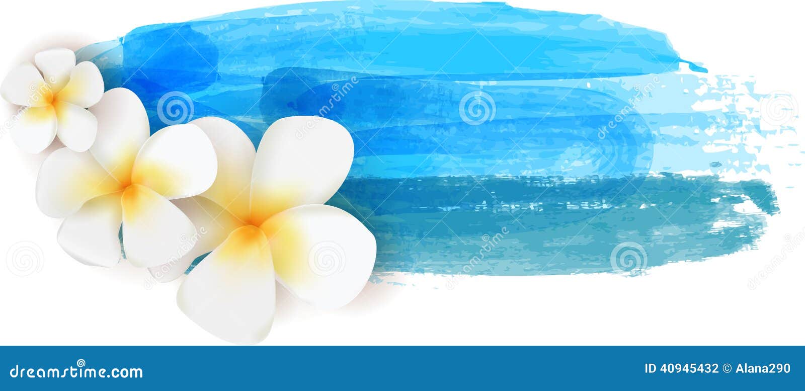 plumeria on watercolor banner