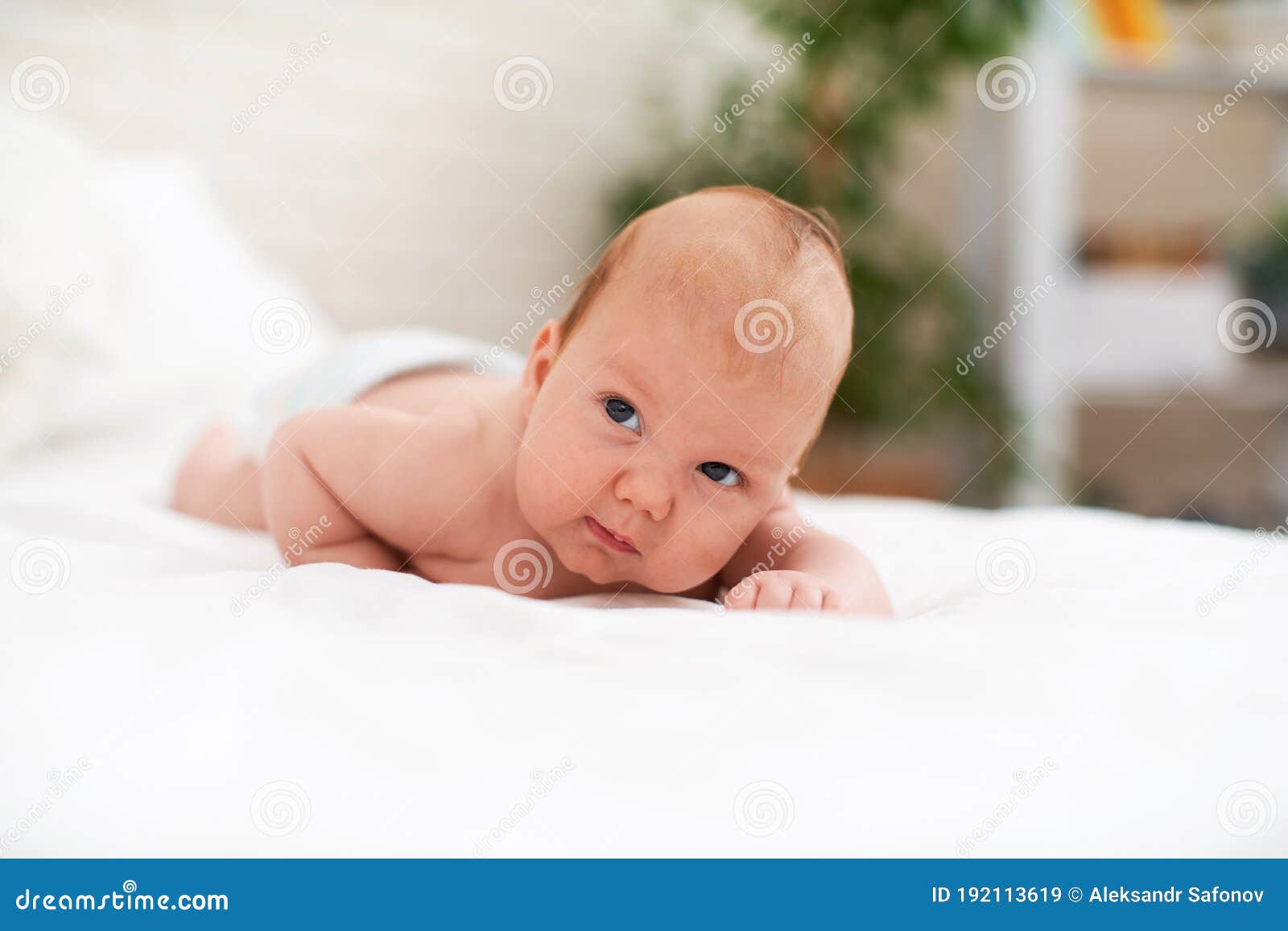 Cute Plump Caucasian Baby Of 4 Months Lies On His Stomach And Looks