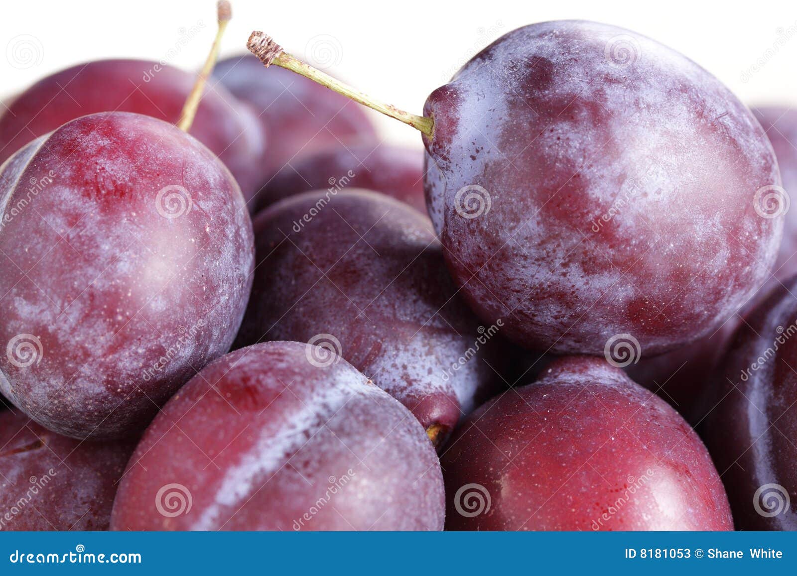 Plums. stock image. Image of plums, organic, seasonal 8181053