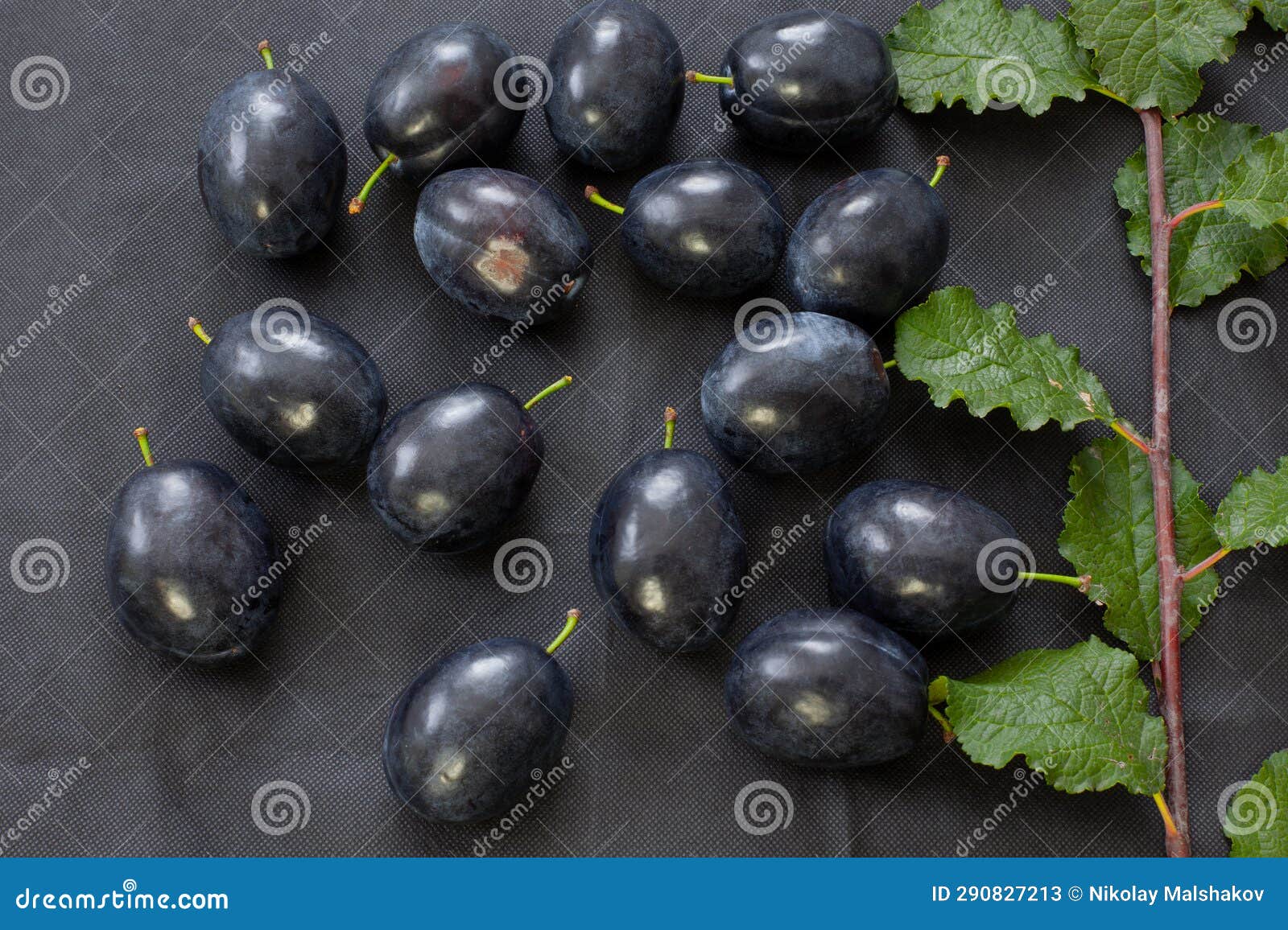 Plums on a Black Background with a Branch of Green Leaves. Stock Image
