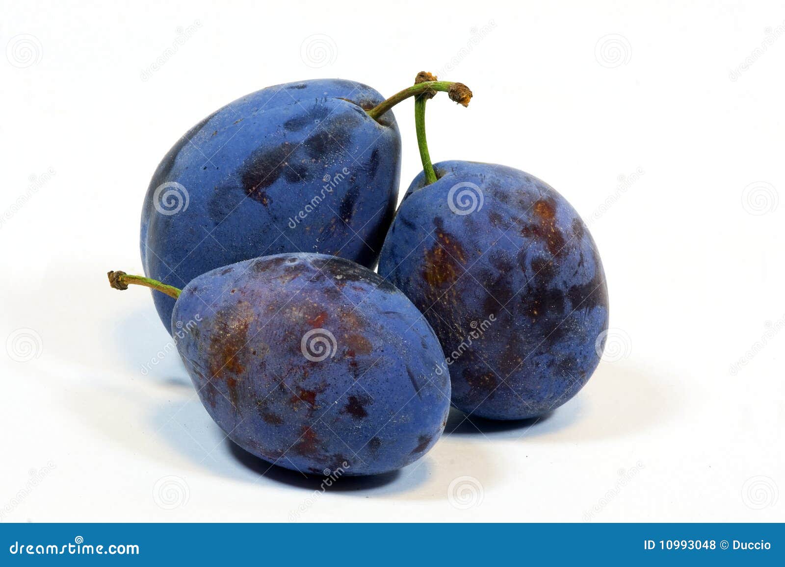 Plums blue stock photo. Image of nature, food, crop, cultivators 10993048