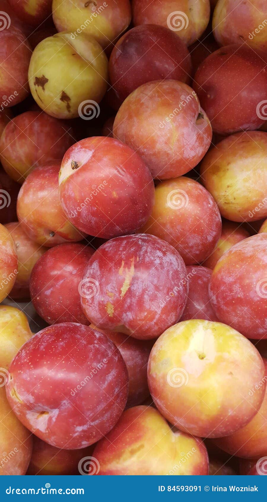 Plums stock image. Image of fruits, plumbs, food, fruit 84593091