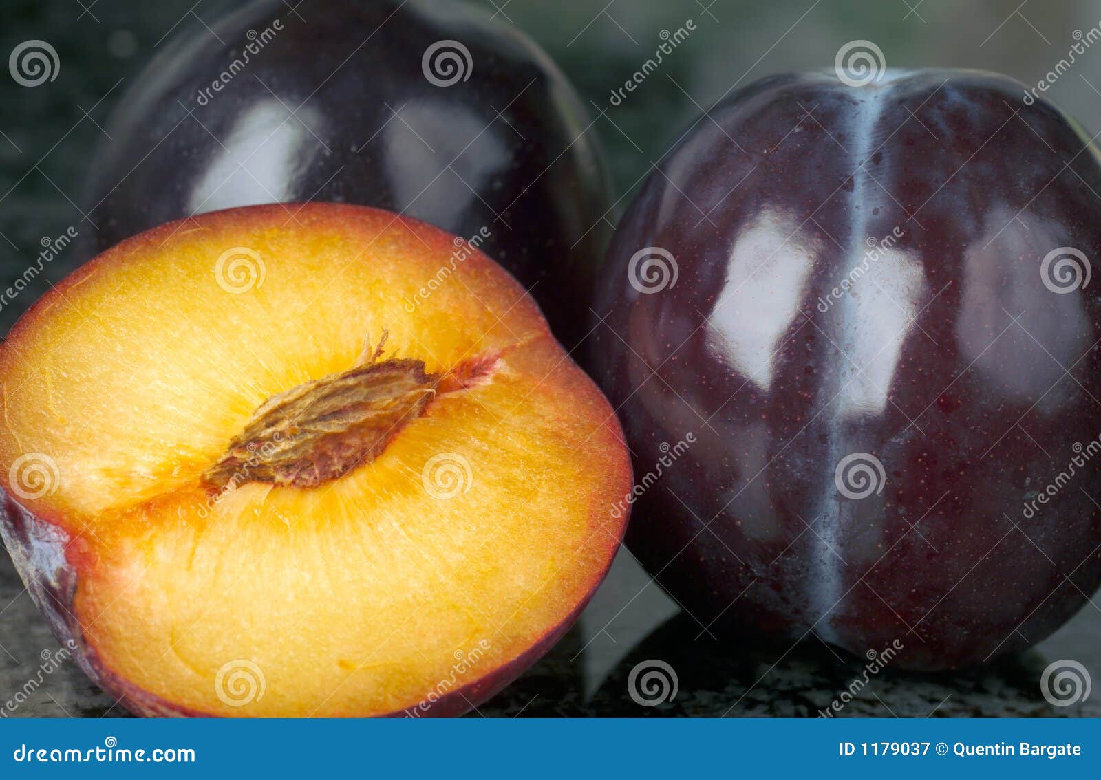 dried plums download free dried plums download free