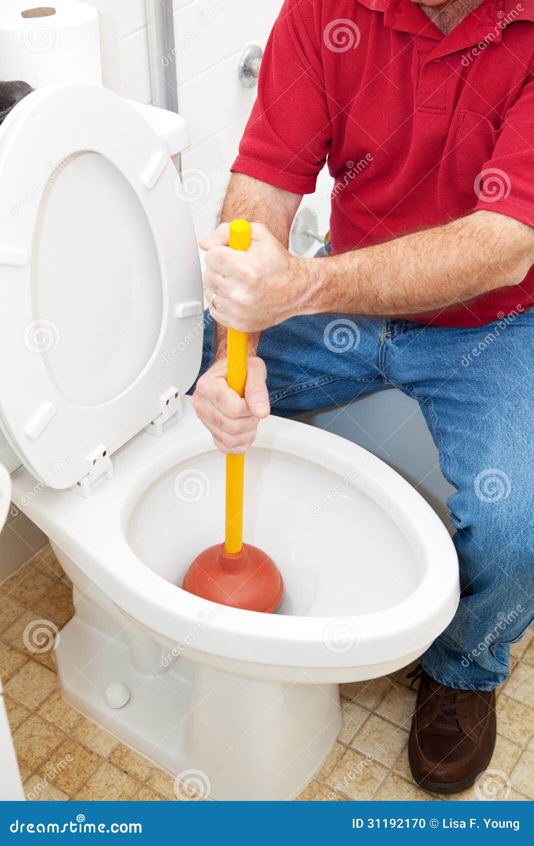 Plunging the Toilet stock photo. Image of bathroom