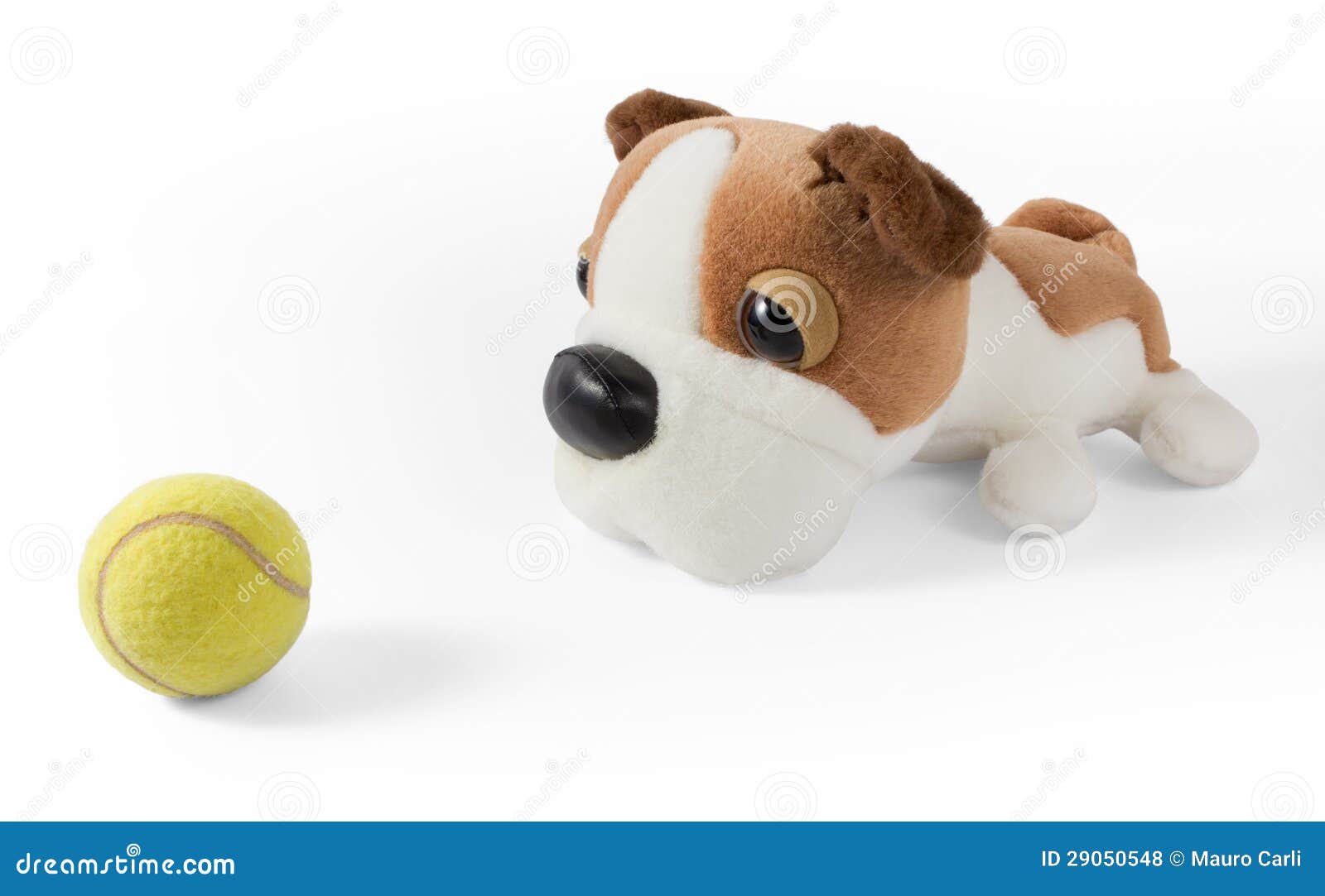 Plush Dog and Tennis Ball stock photo. Image of plushy 29050548