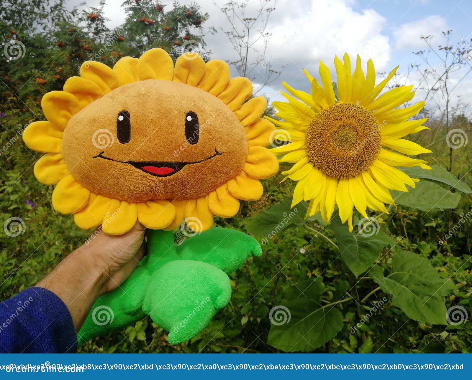 Plush Sunflower Plants Vs. Zombies Stock Image - Image of main, ease:  162385883