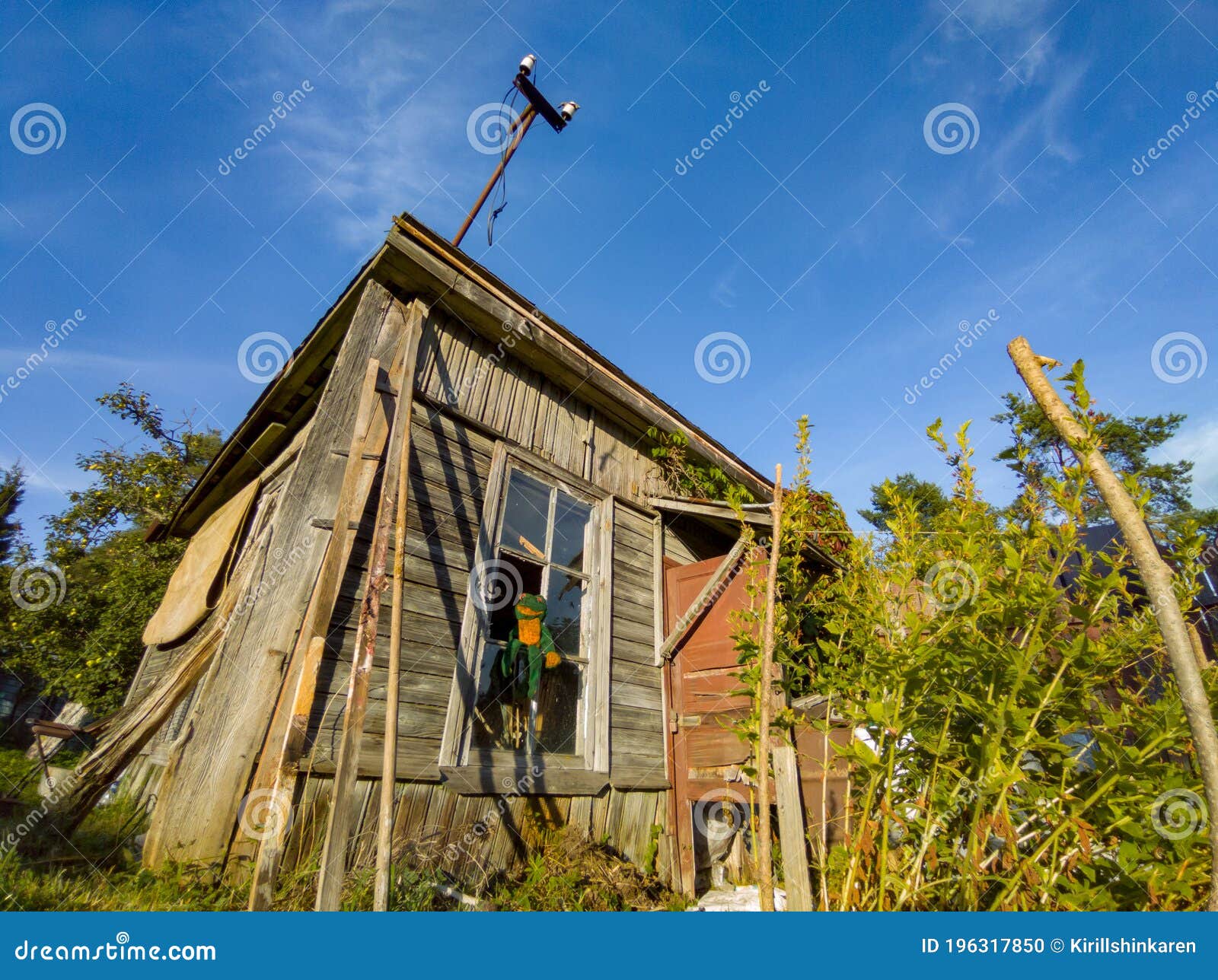 Plush Toy Frog Sits on the Broken Window of an Abandoned House on a ...