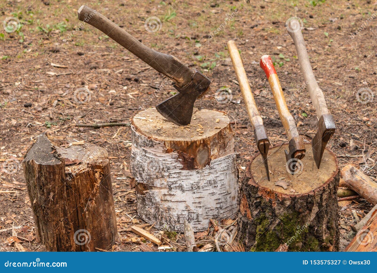 Hache Ld Dans Une Souche D'arbre Hache Prête à Couper Du Bois Outil De  Travail Du Bois Hache Dans Du Bois à Couper Du Bois