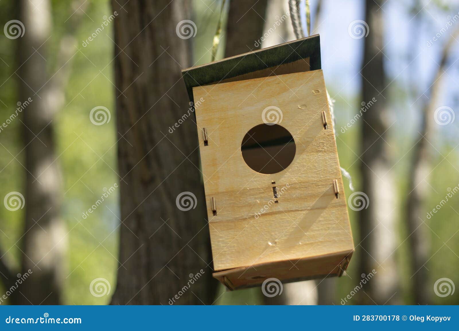 Plywood Bird House. Bird Feeder Stock Photo Image of empty