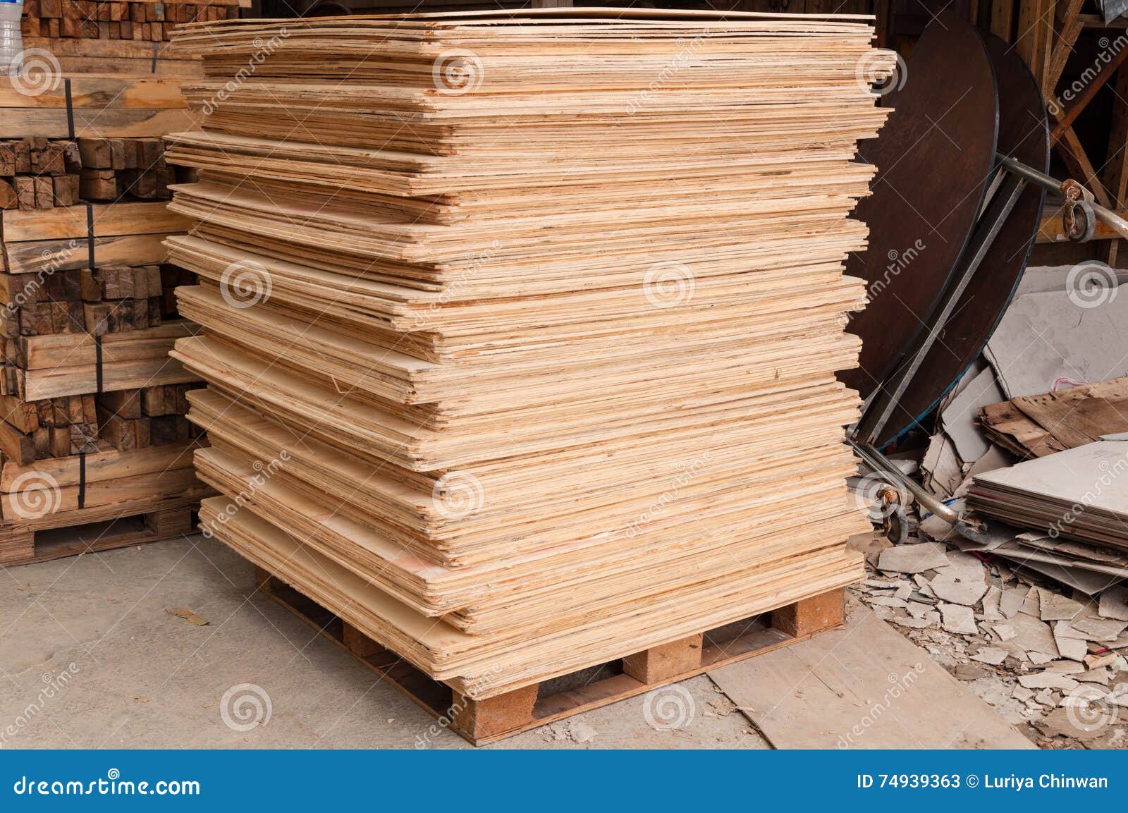 Plywood of Different Sizes Lie on Racks and Pallets Stock Image Image