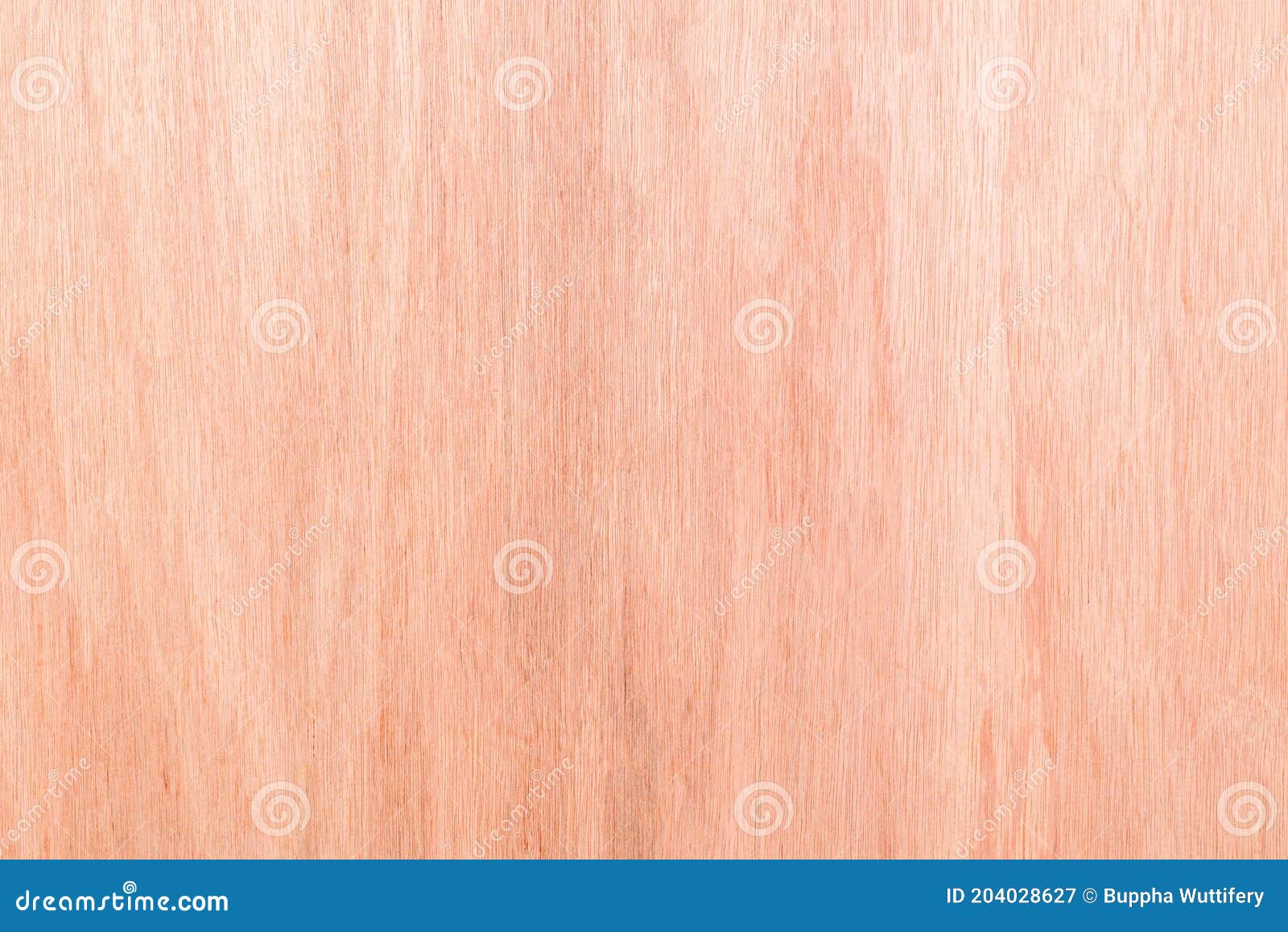 Plywood Grain Texture Natural Pattern Background Stock Image Image of