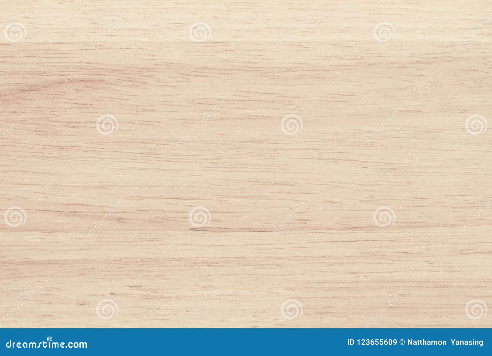 Plywood Surface in Natural Pattern with High Resolution. Wooden Grained