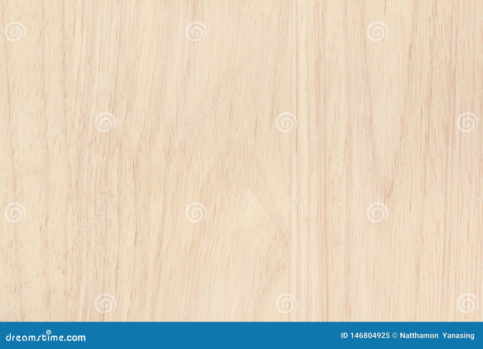 Plywood Surface in Natural Pattern with High Resolution. Wooden Grained