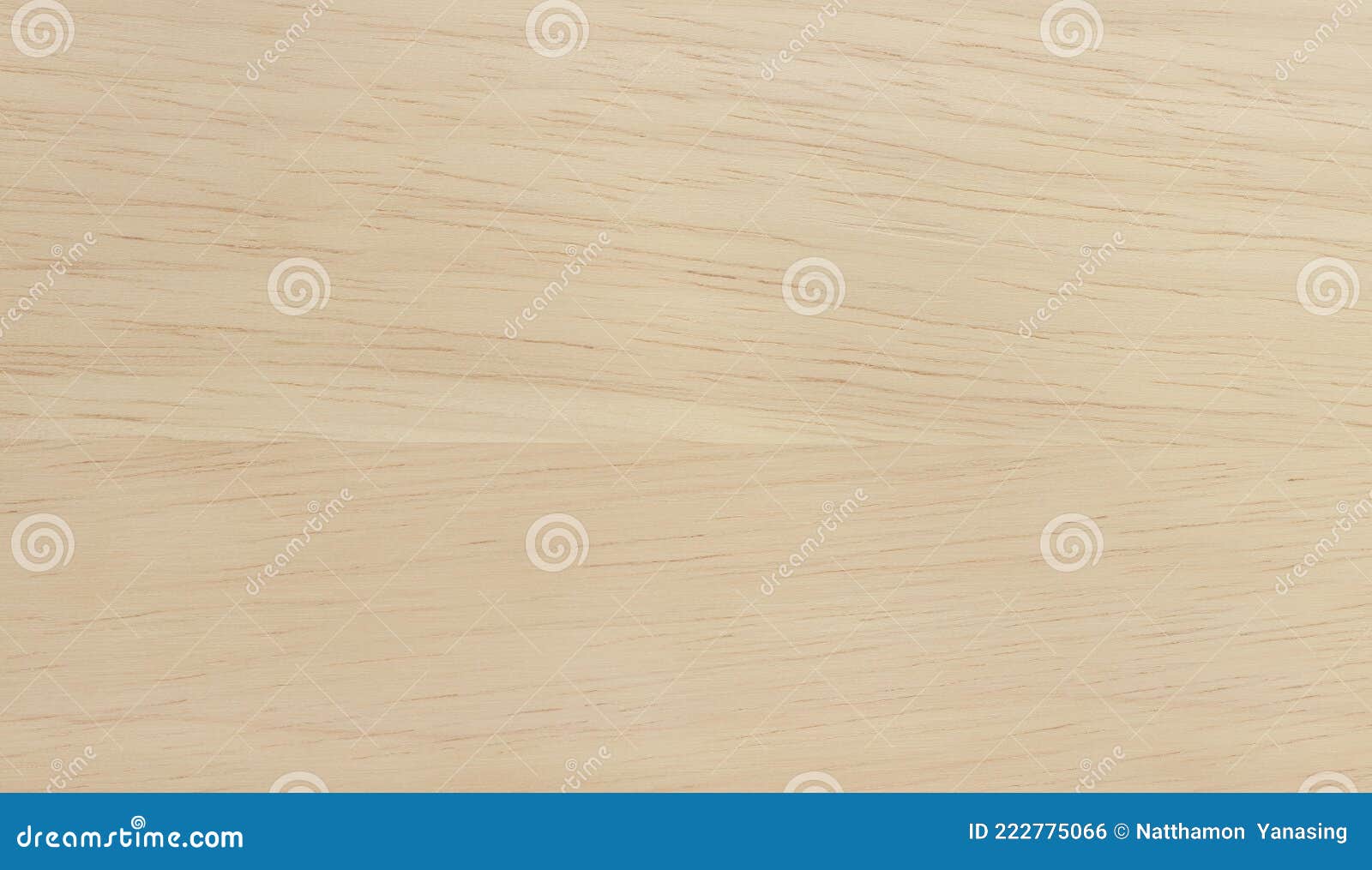 Plywood Surface in Natural Pattern with High Resolution. Wooden Grained