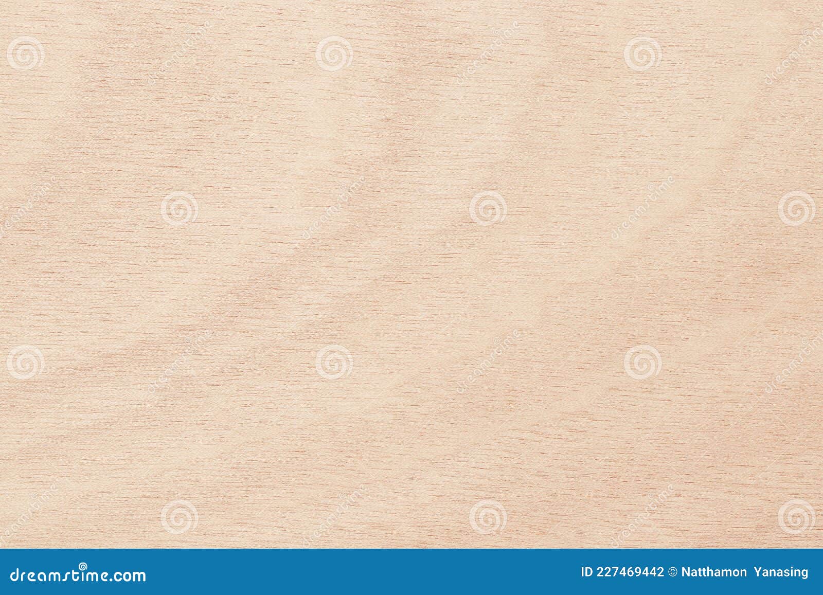 Plywood Surface in Natural Pattern with High Resolution. Wooden Grained
