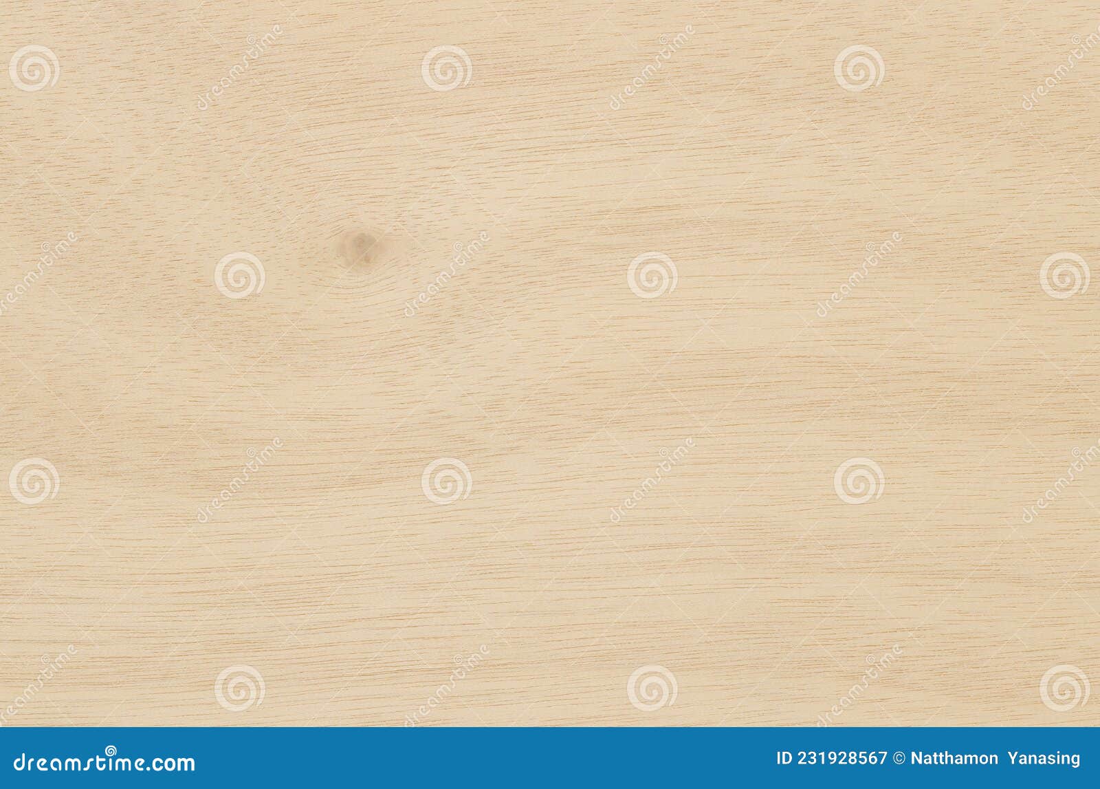 Plywood Surface in Natural Pattern with High Resolution. Wooden Grained