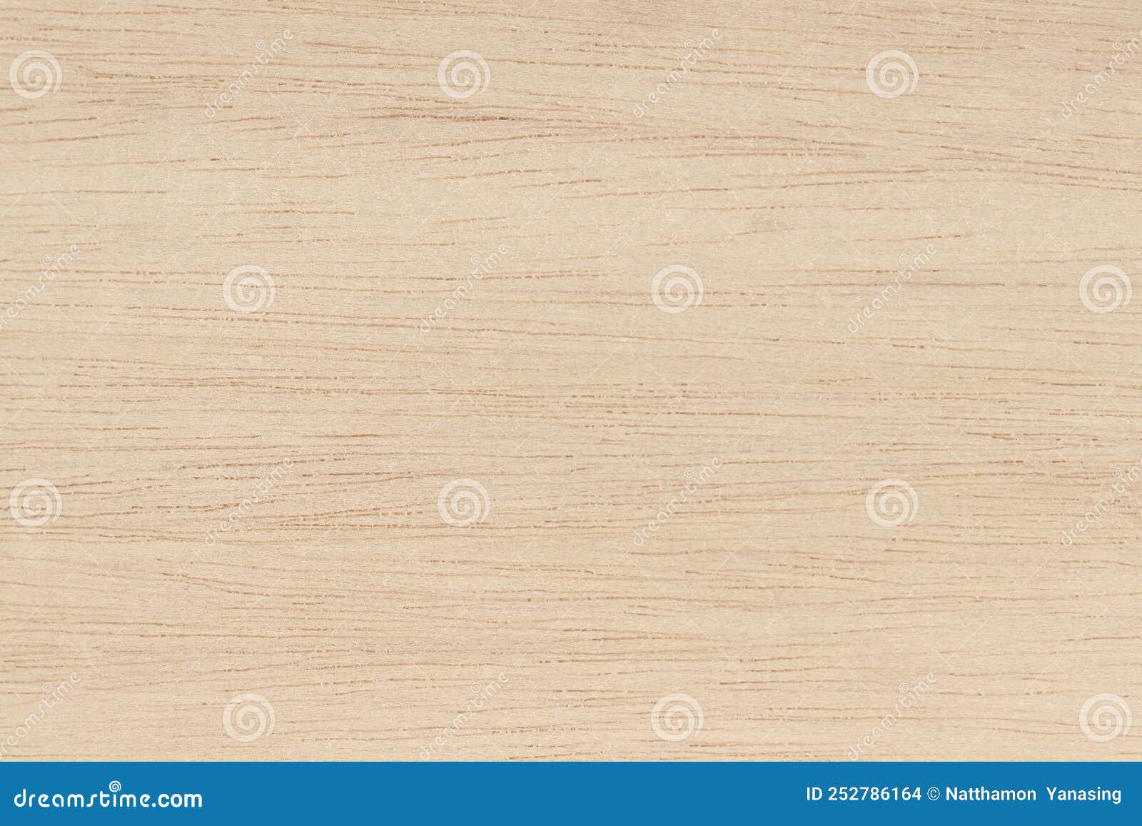Plywood Surface in Natural Pattern with High Resolution. Wooden Grained