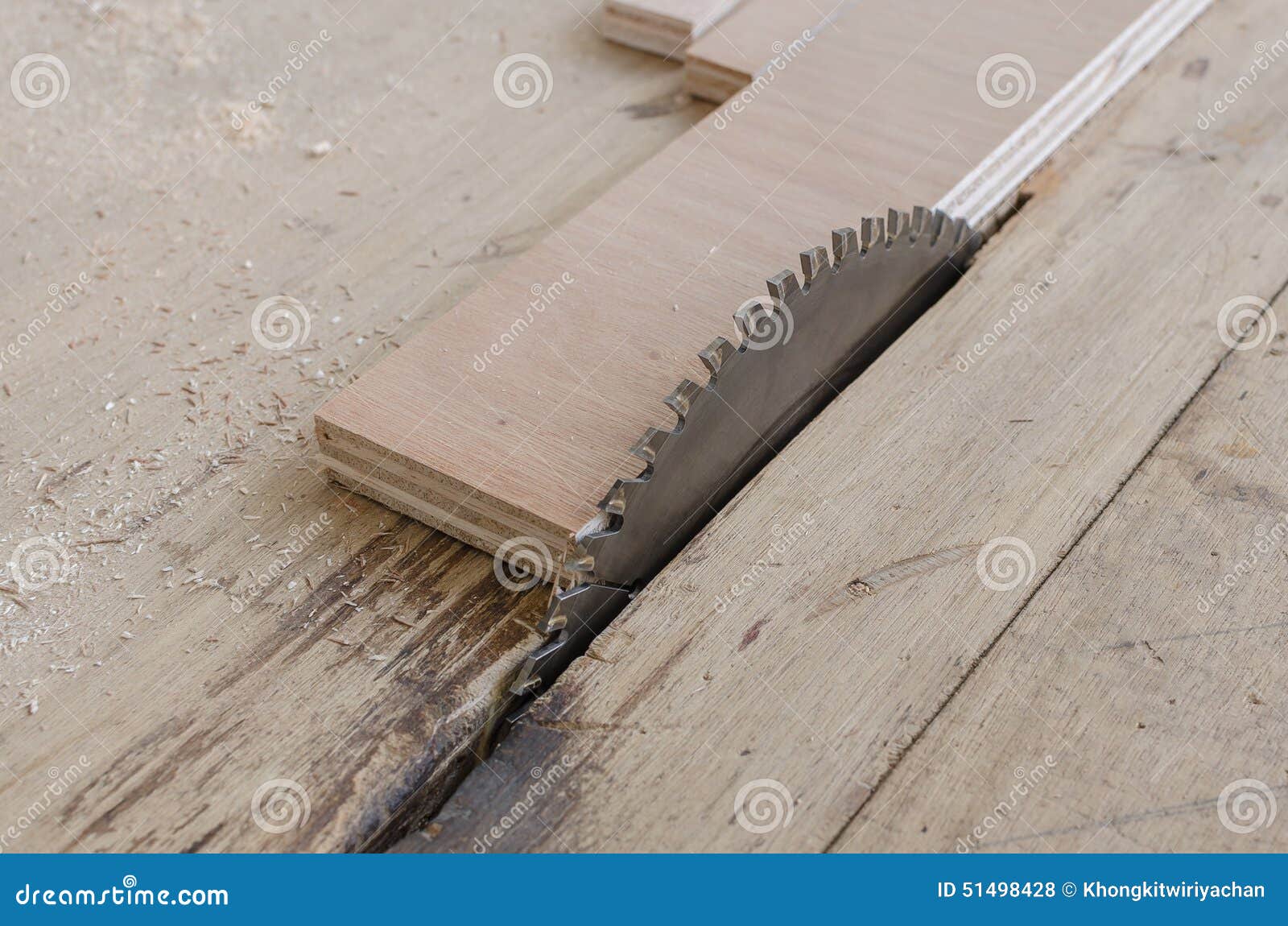 Plywood on Table Saw for Cutting Stock Photo Image of hobby, carpentry 51498428