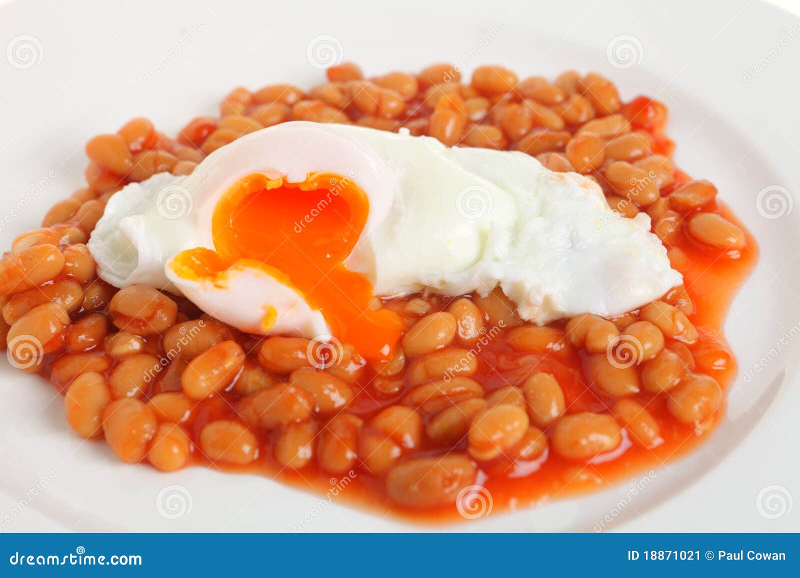 Poached egg on baked beans stock image. Image of fast 18871021