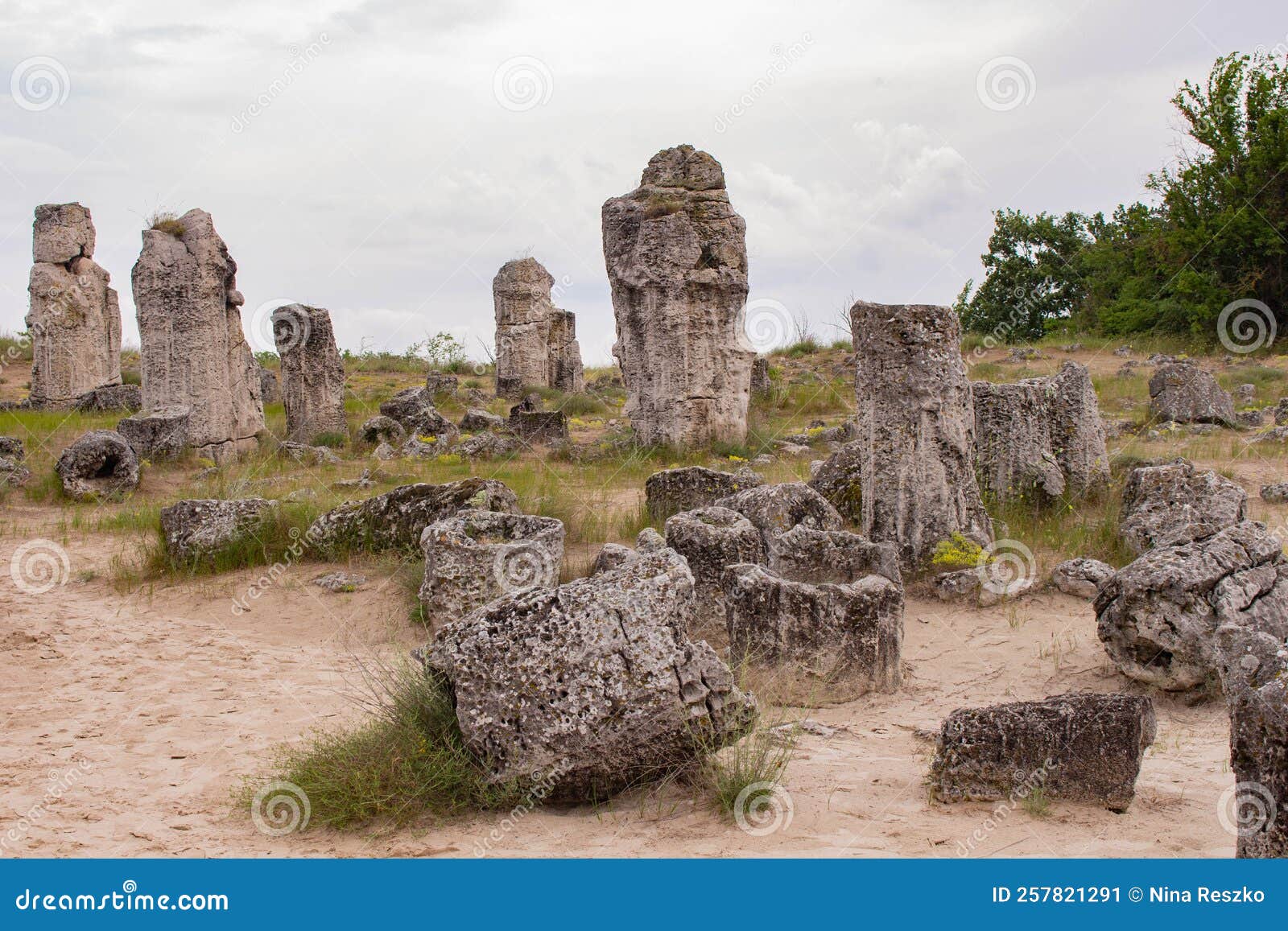 pobitite kamuni. rocks in the stone forest in bulgaria