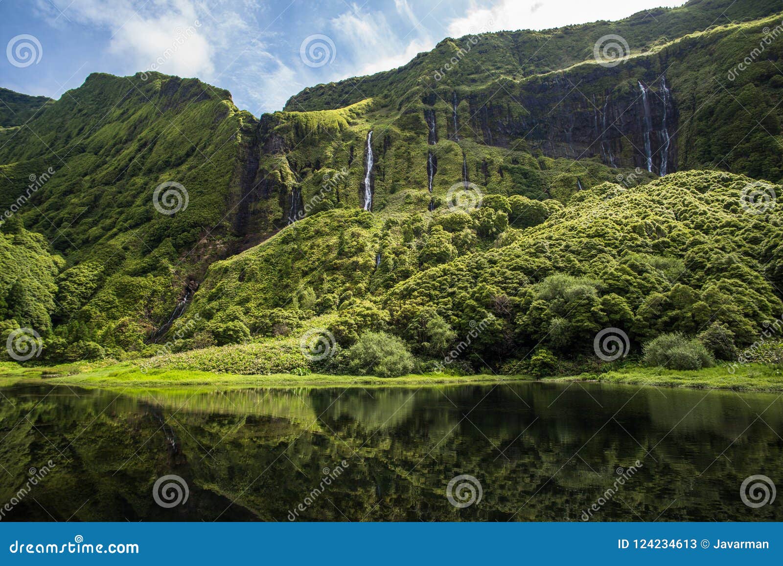 poco da ribeira do ferreiro, flores island, azores, portugal.