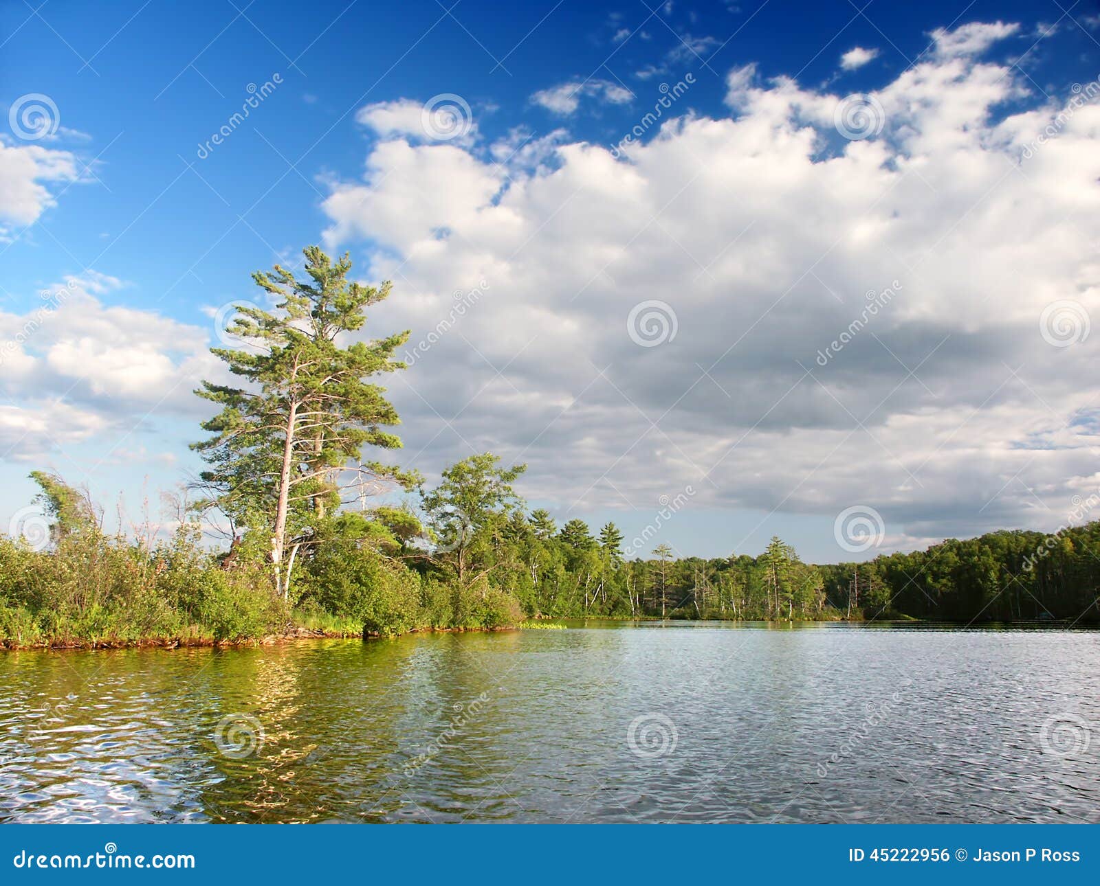 Poco Lago Wisconsin Bearskin Fotografia Stock Immagine di colbacco