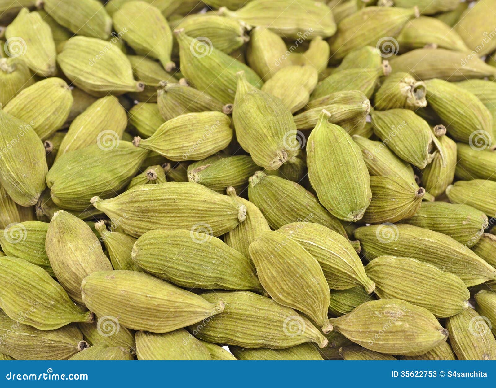 pods of white cardamom