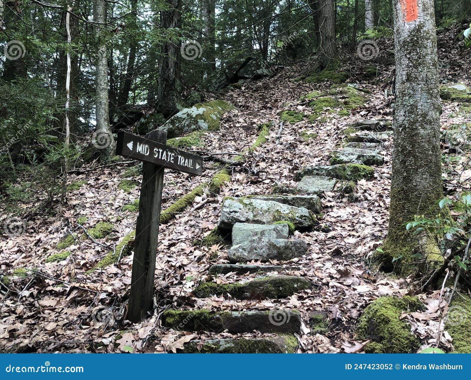 Poe Valley State Park stock photo. Image of bike, animal 247423052