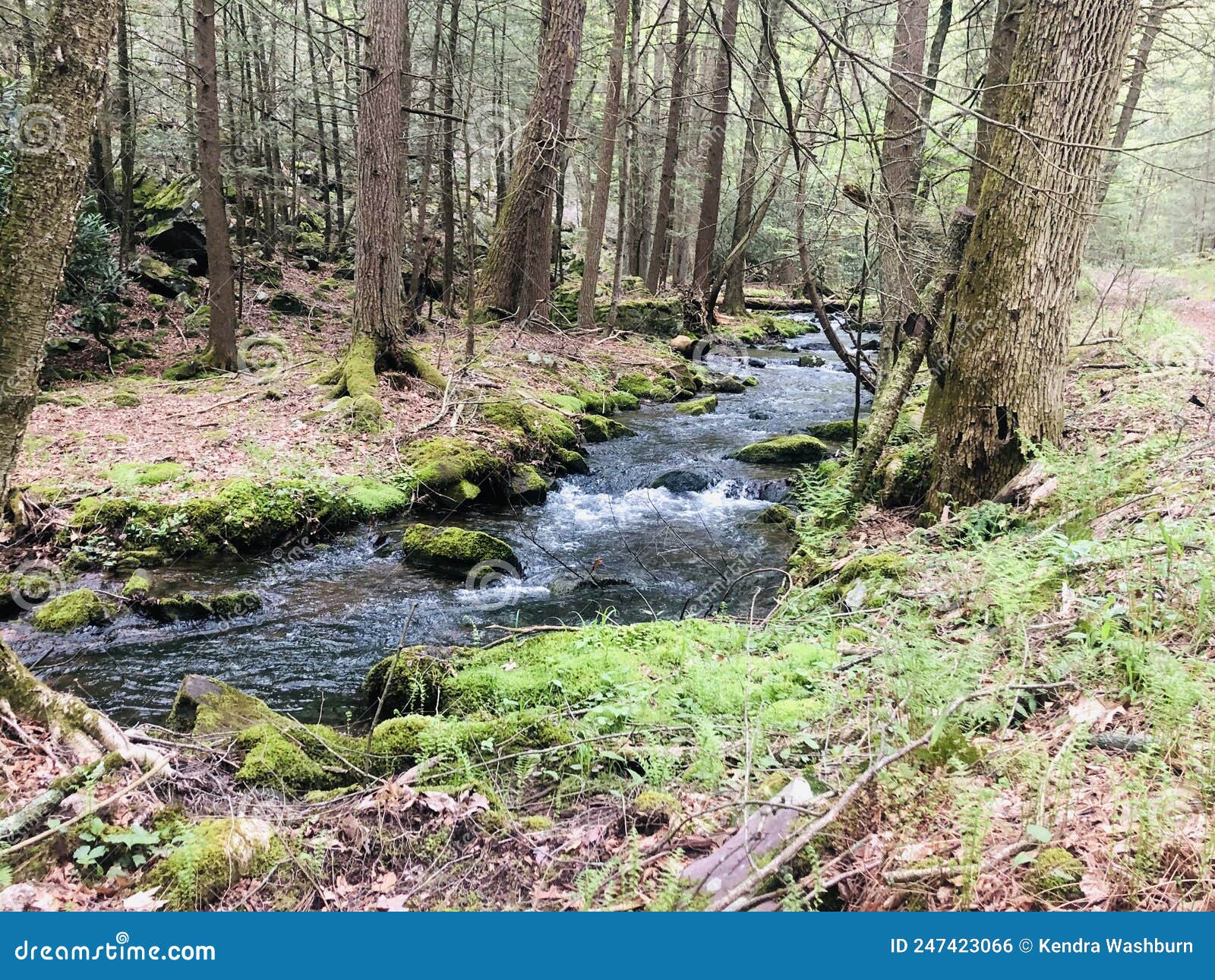 Poe Valley State Park stock photo. Image of harrisburg 247423066