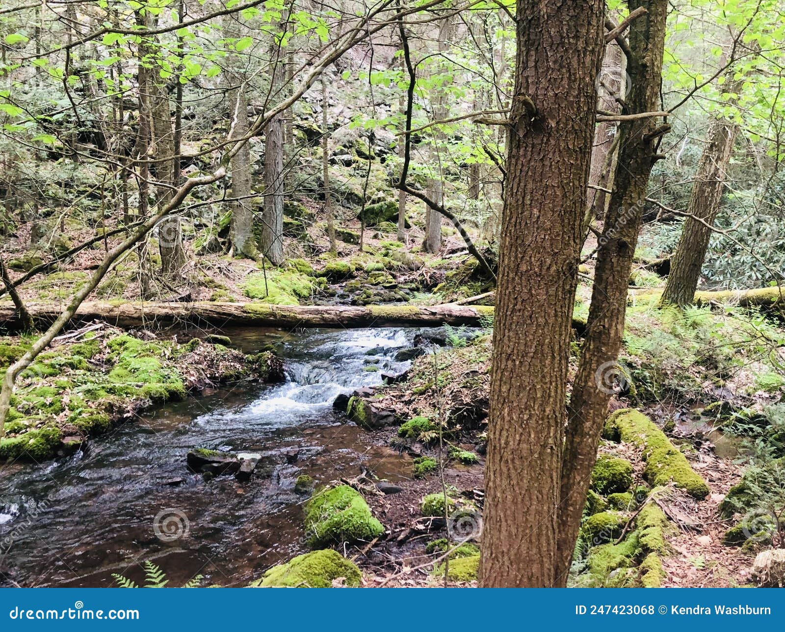 Poe Valley State Park stock photo. Image of country 247423068