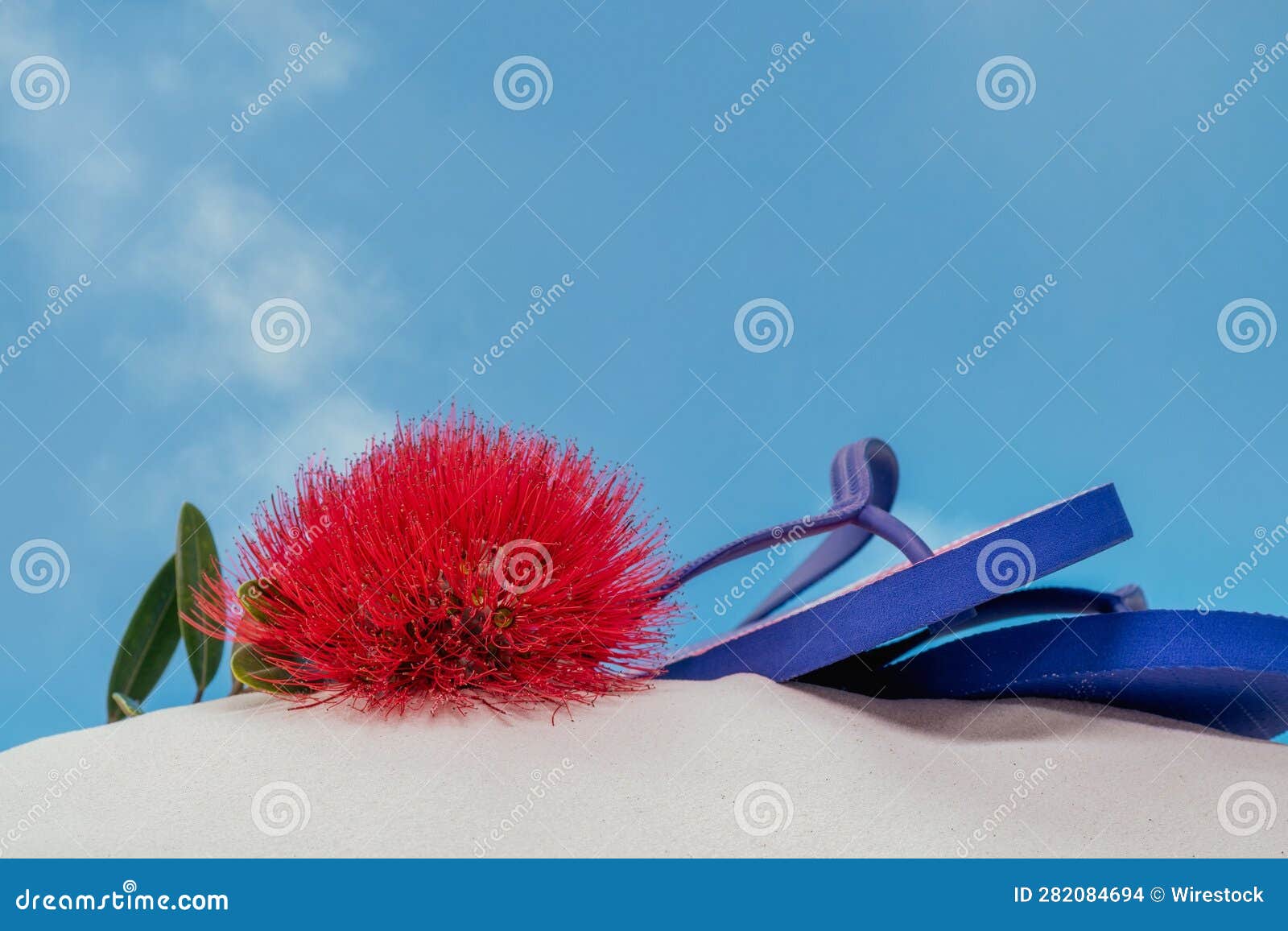 a pohutukawa flower and jandals resting on a sandy beach in nz.