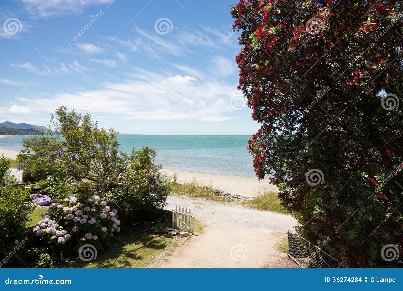 pohutukawa holidays