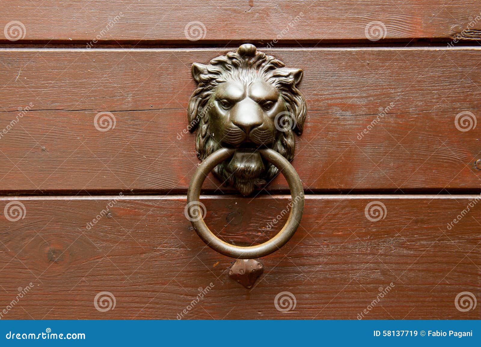 Poignée En Bronze De Tête De Lion Sur La Porte En Bois Poignée En Bronze De Tête De Lion Sur La Porte En Bois